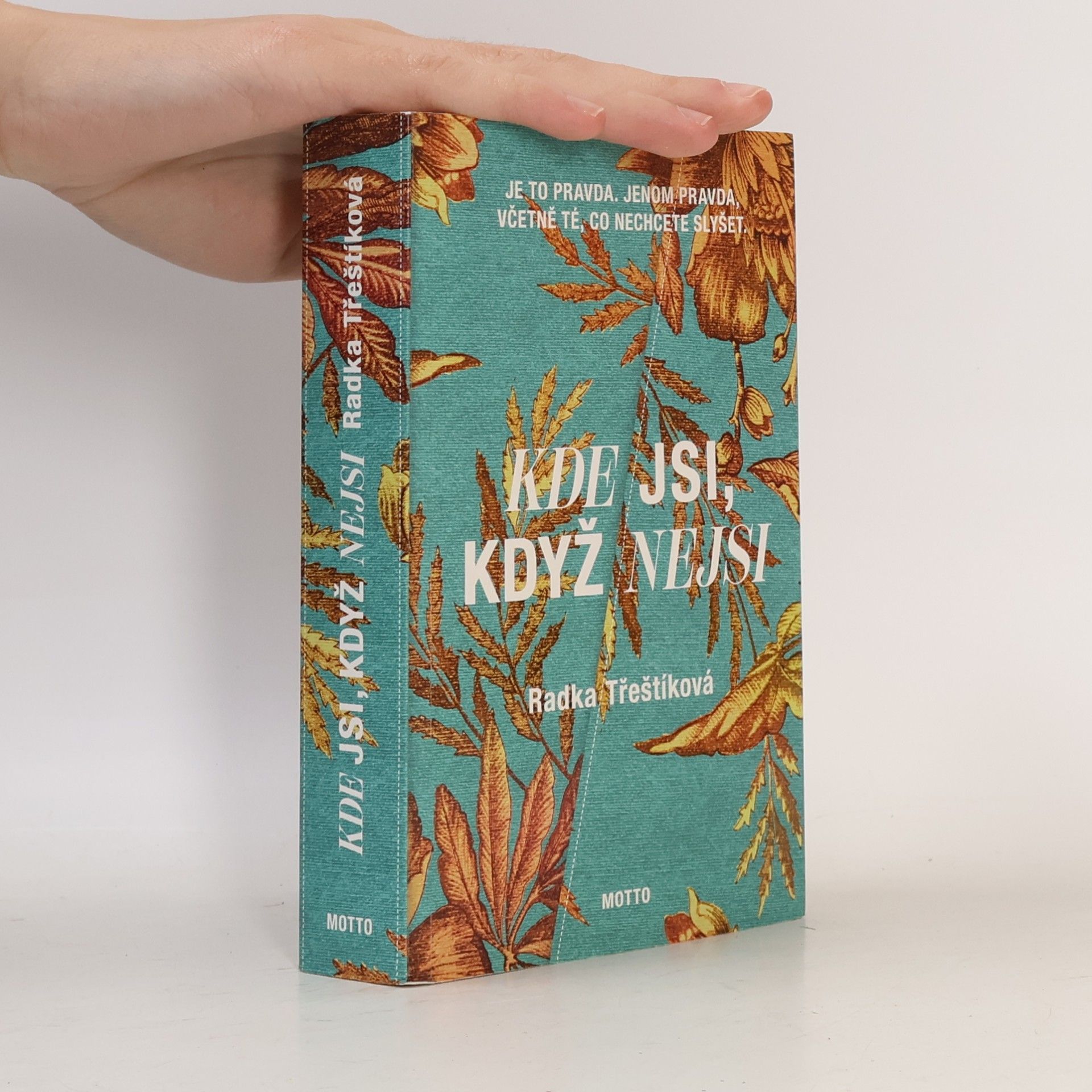 Radka Třeštíková Kde jsi, když nejsi