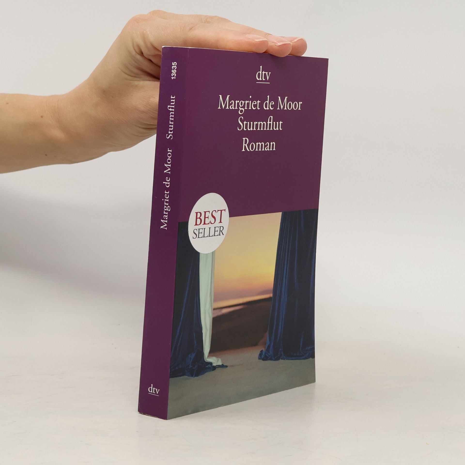 Margriet de Moor Sturmflut