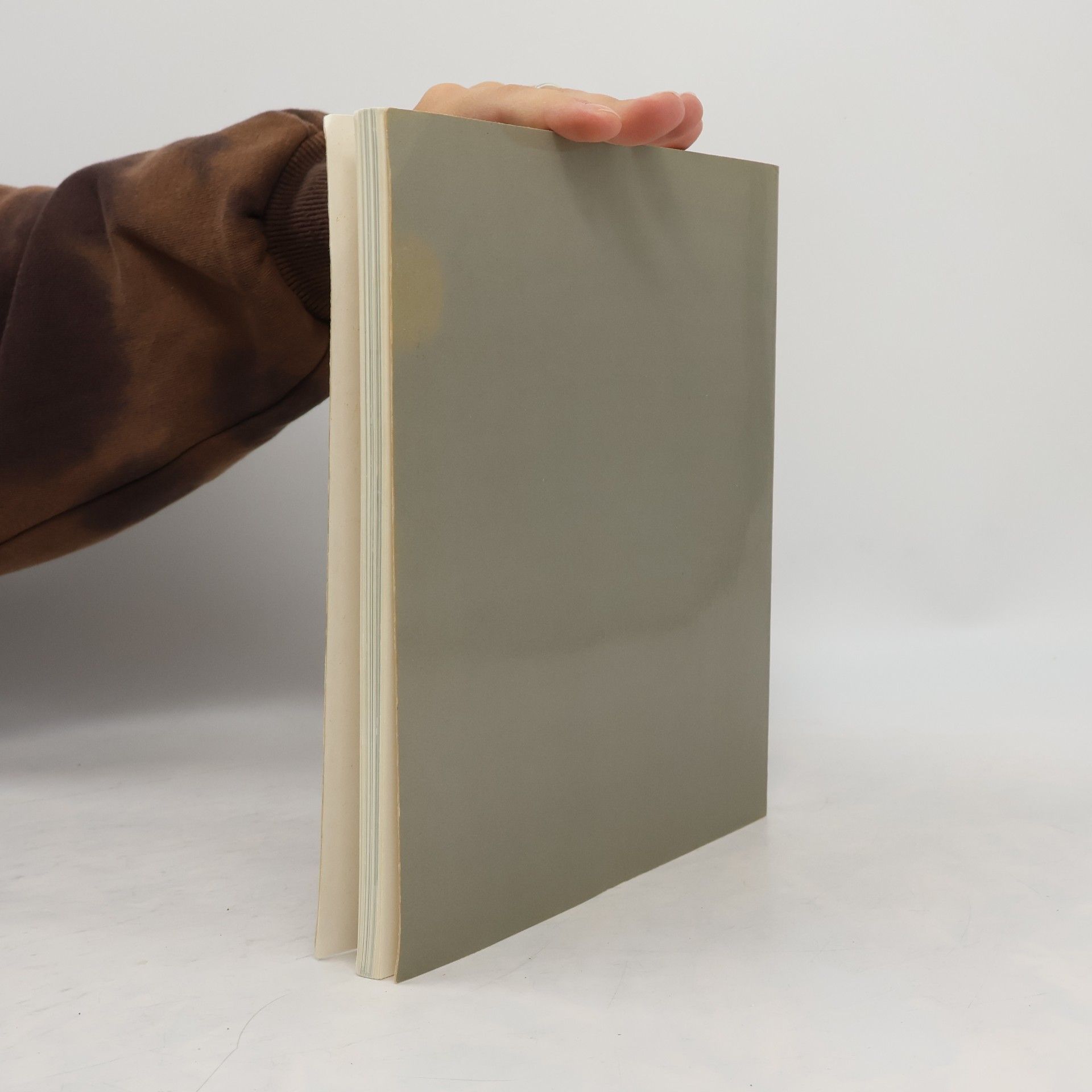Janet Belden Beyda Tagebuch - 2: Alte Bekannte