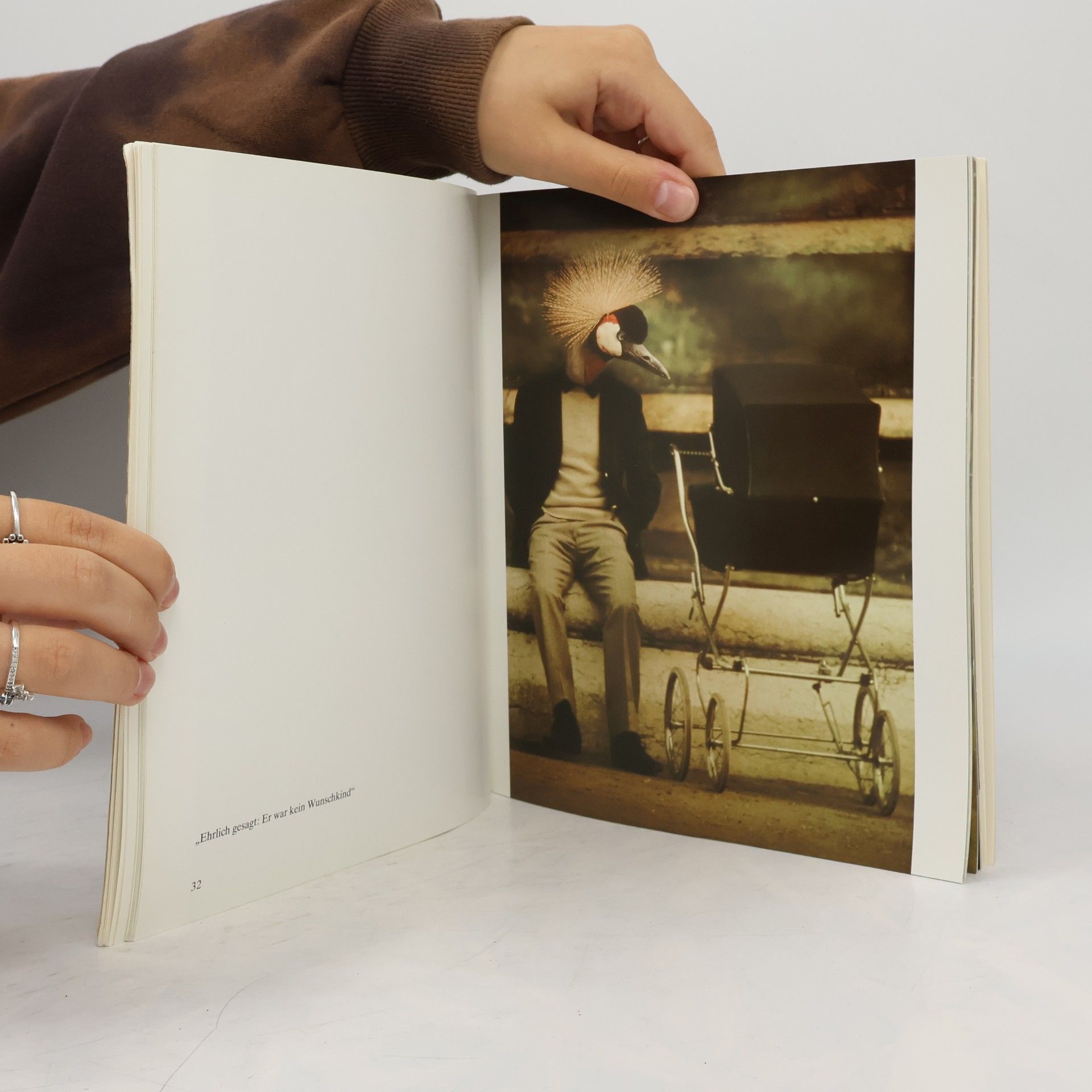 Janet Belden Beyda Tagebuch - 2: Alte Bekannte