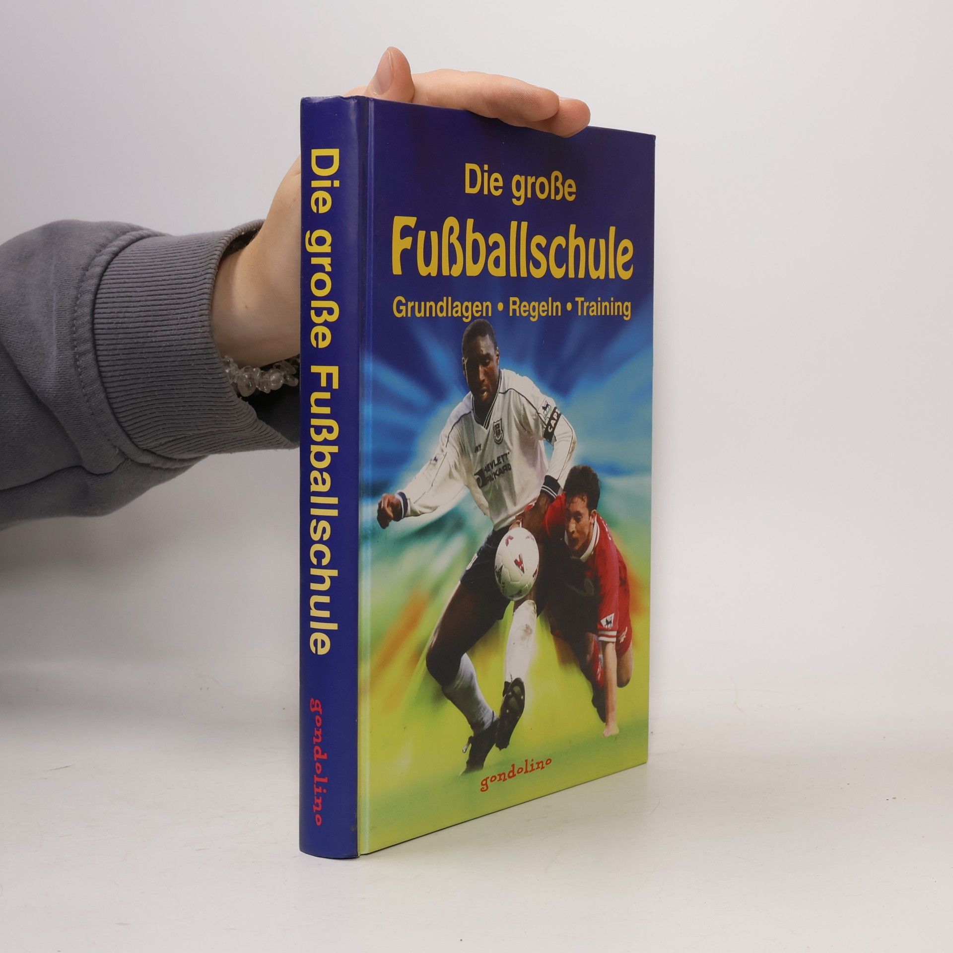 Gill Harvay Die große Fußballschule