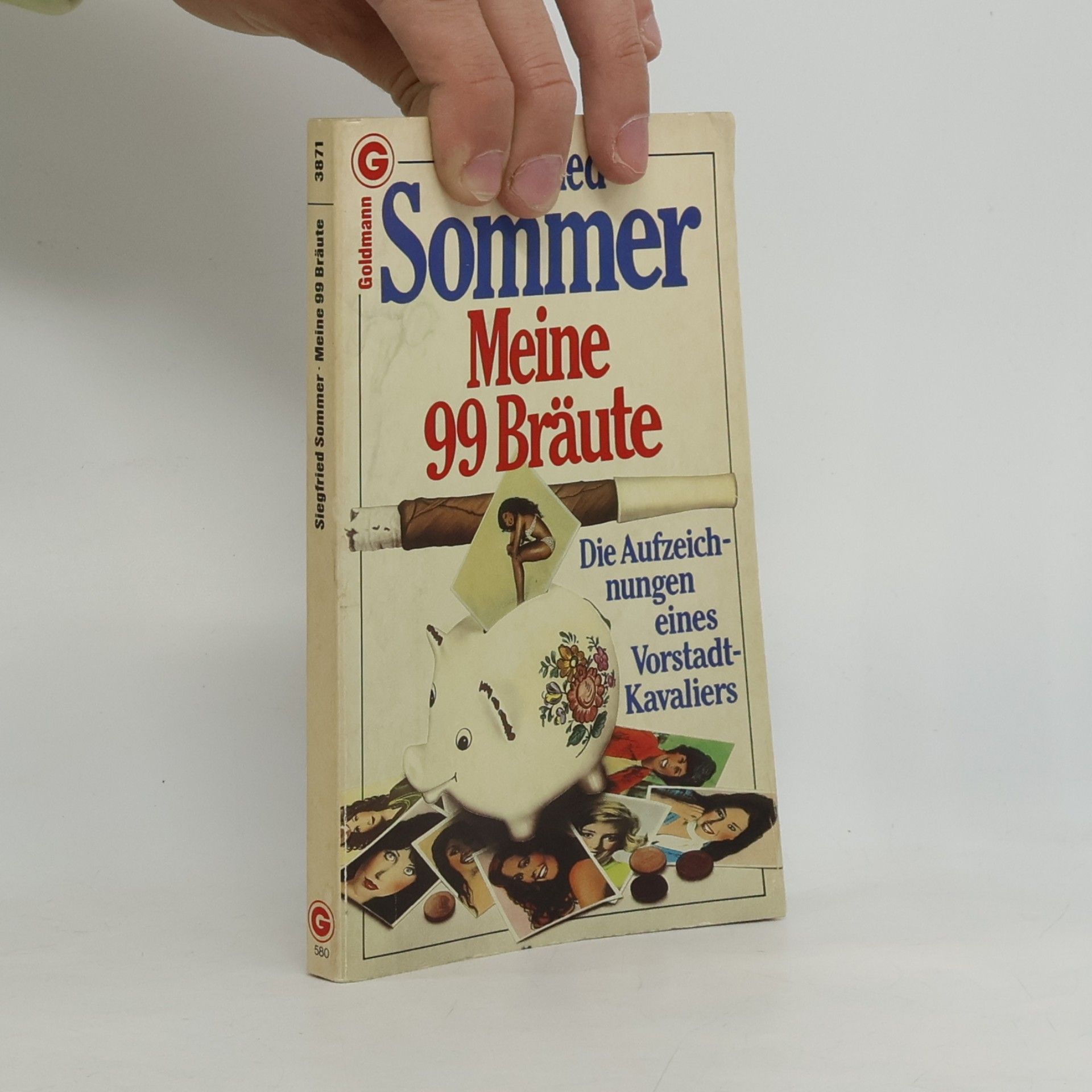 Siegfried Sommer Meine 99 Bräute. Die Aufzeichnungen eines Vorstadt-Kavaliers