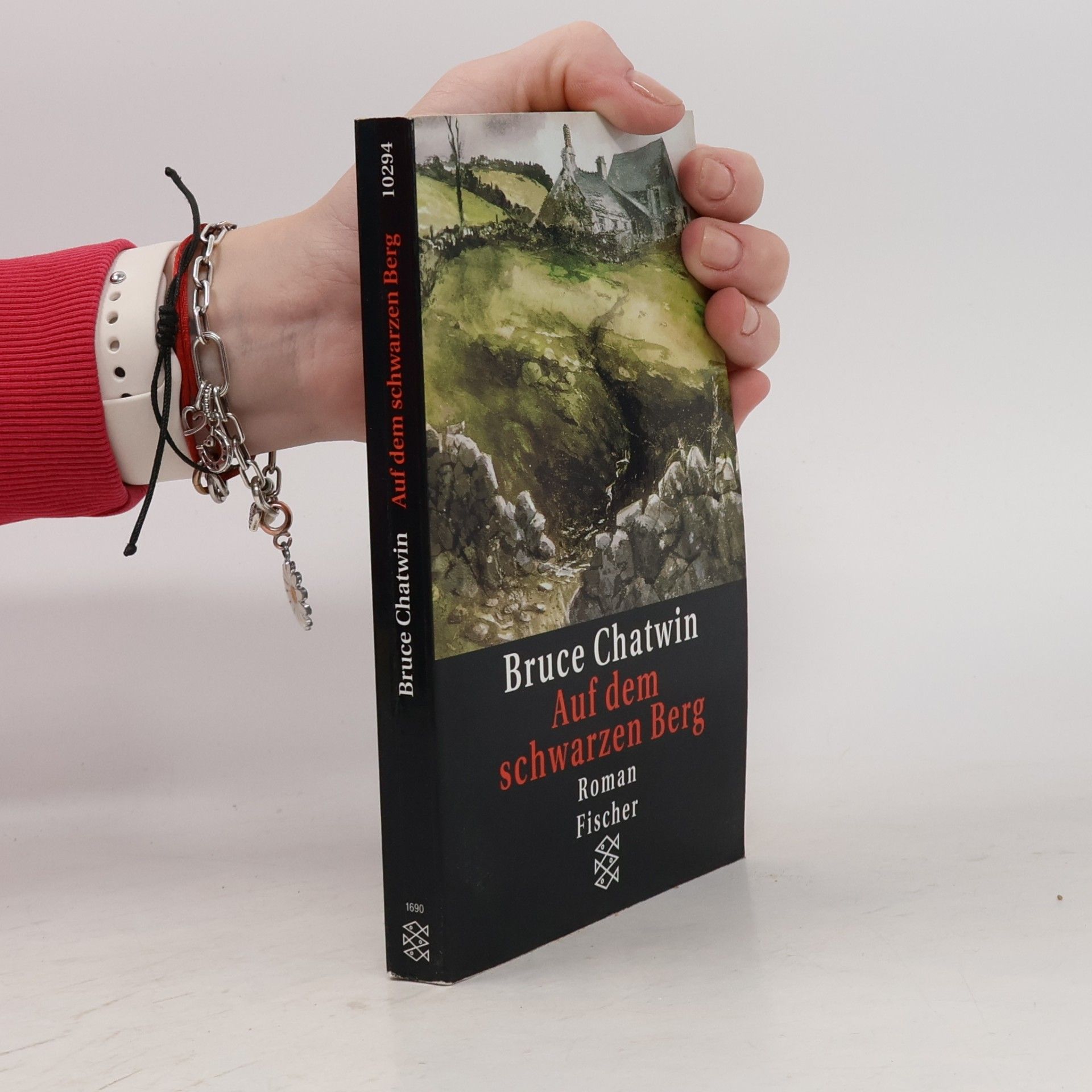 Bruce Chatwin Auf dem schwarzen Berg