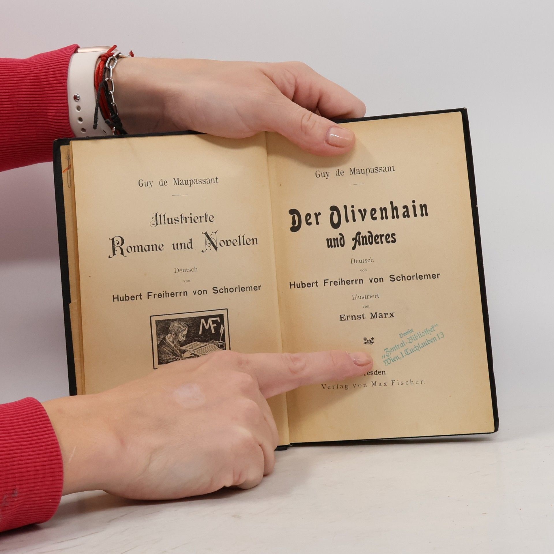 Guy de Maupassant Der Olivenhain und Anderes