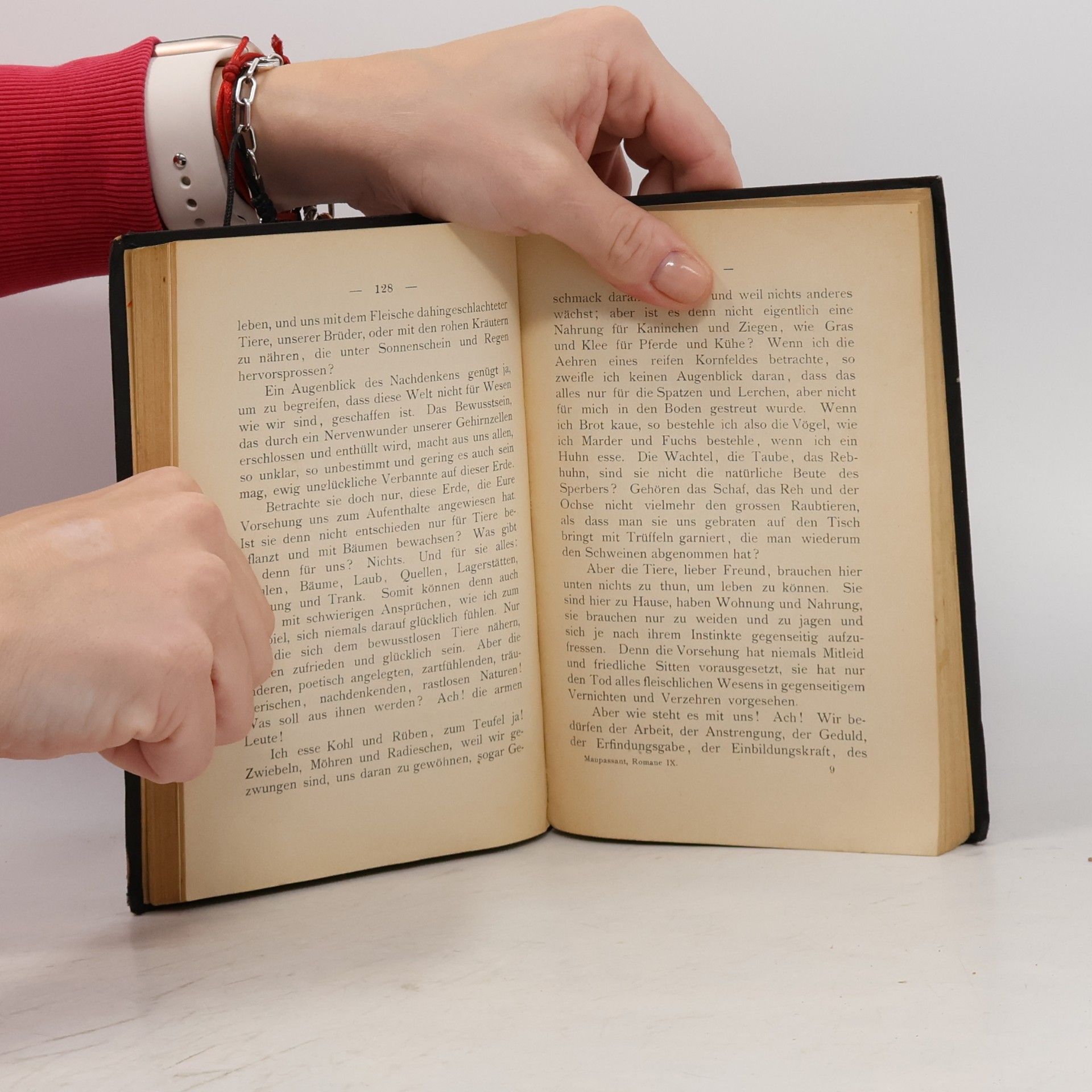 Guy de Maupassant Der Olivenhain und Anderes