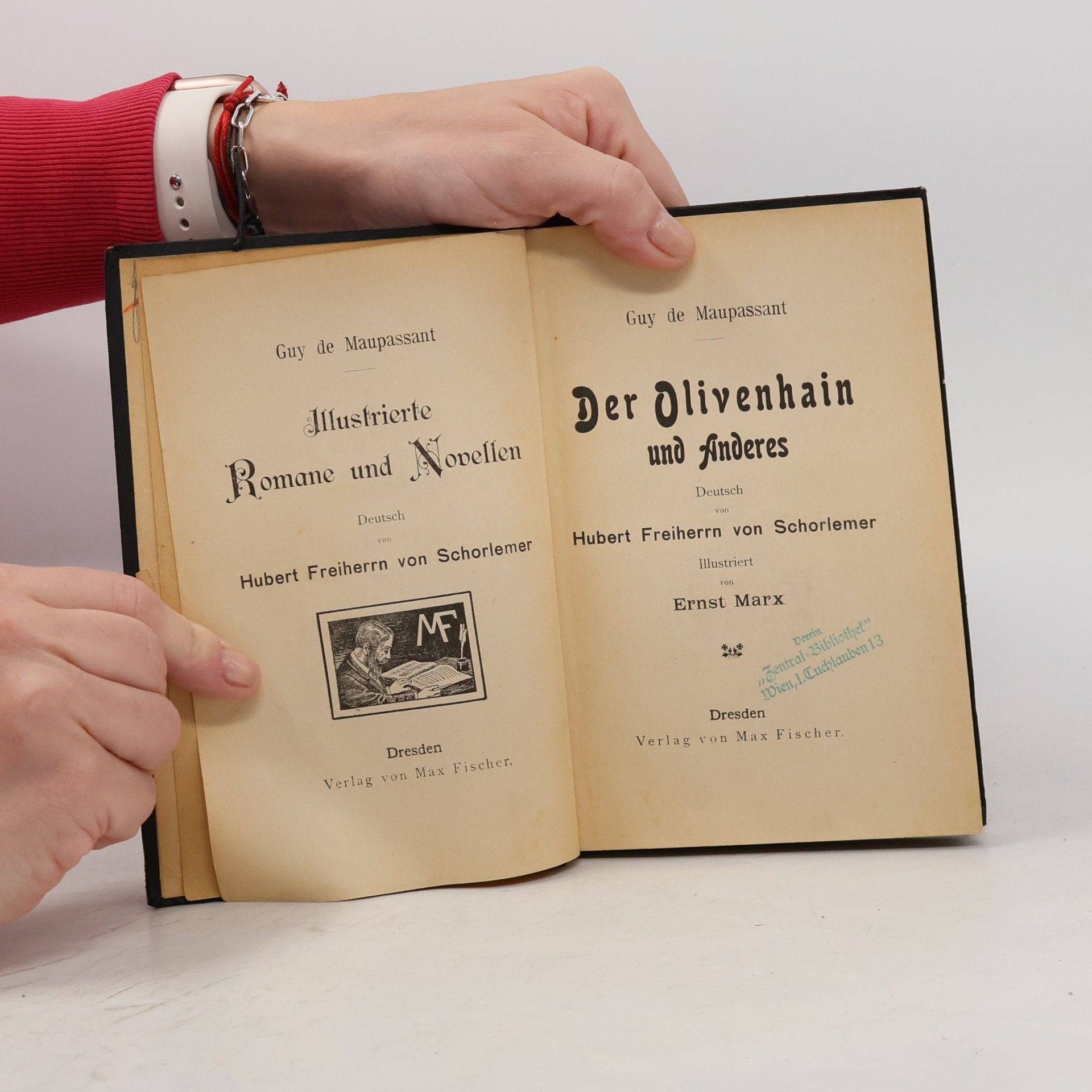 Guy de Maupassant Der Olivenhain und Anderes