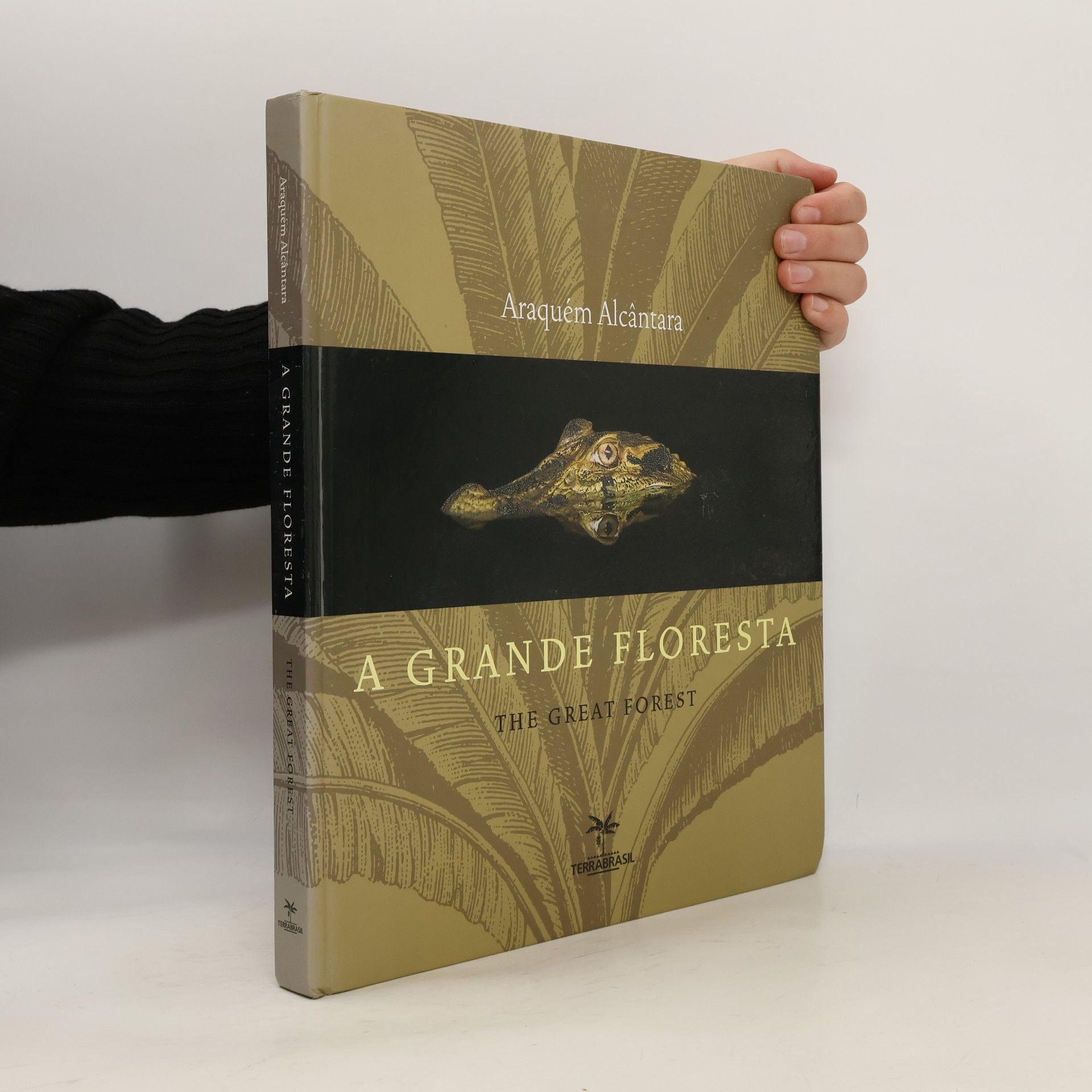 A Grande Floresta - The Great Forest