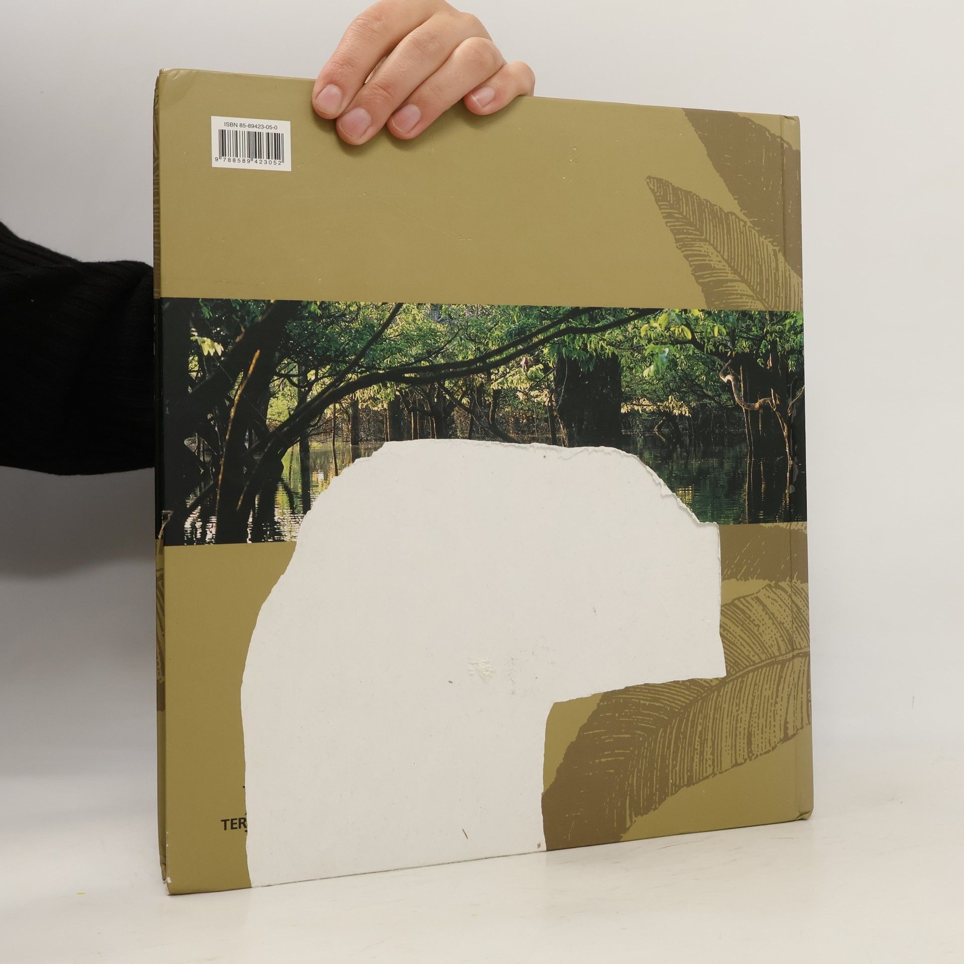 Antonio Paulo and Rodrigues Otavio Pavone A Grande Floresta - The Great Forest