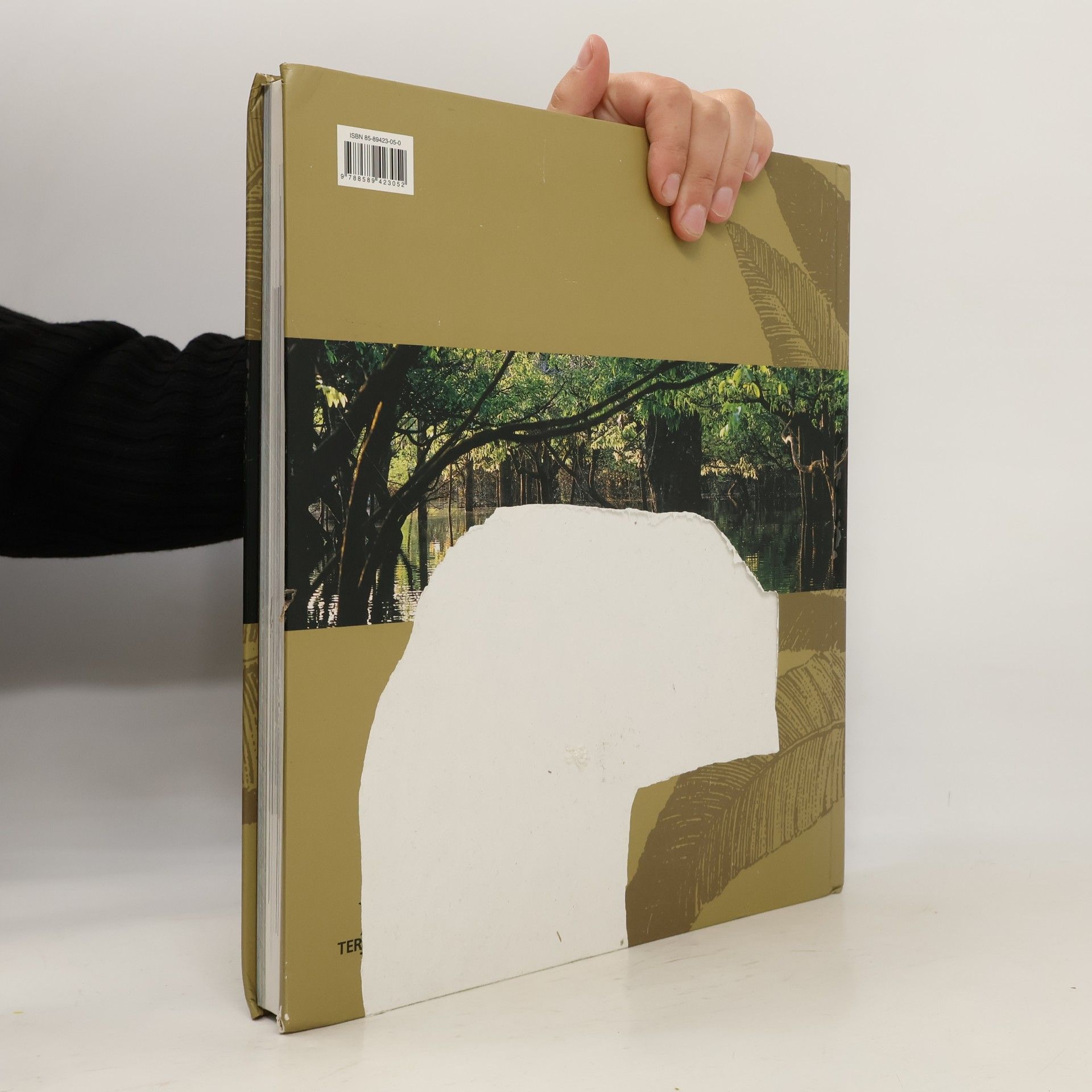 Antonio Paulo and Rodrigues Otavio Pavone A Grande Floresta - The Great Forest