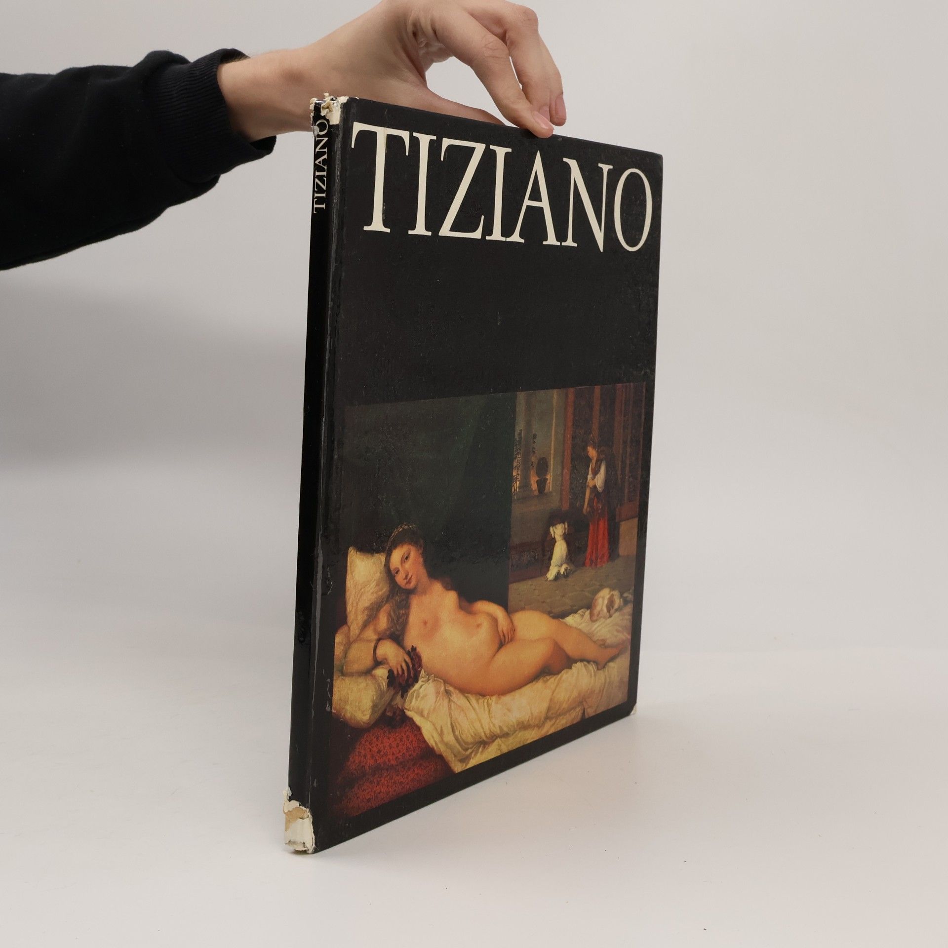 Kolektiv autorů Tiziano