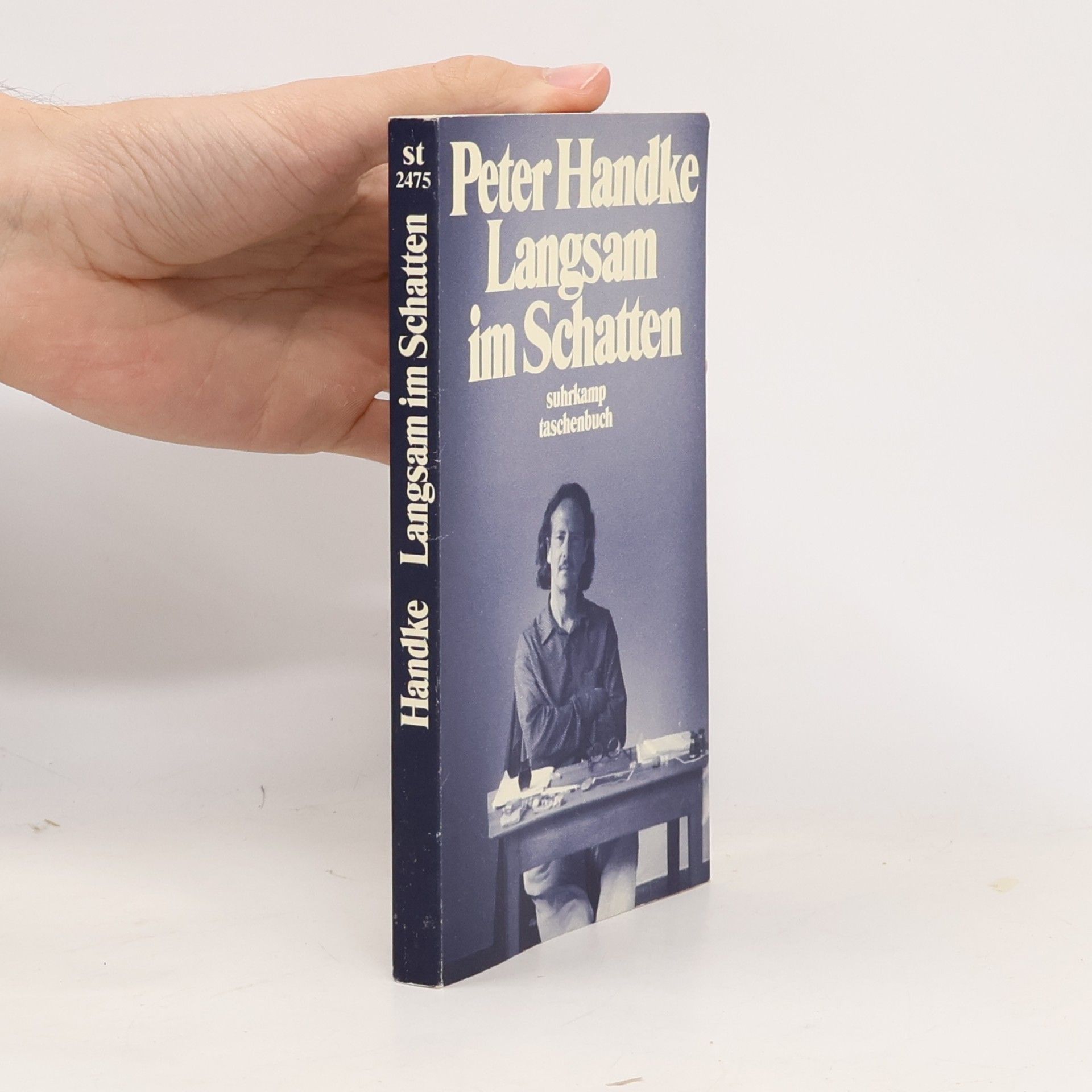 Peter Handke Langsam im Schatten
