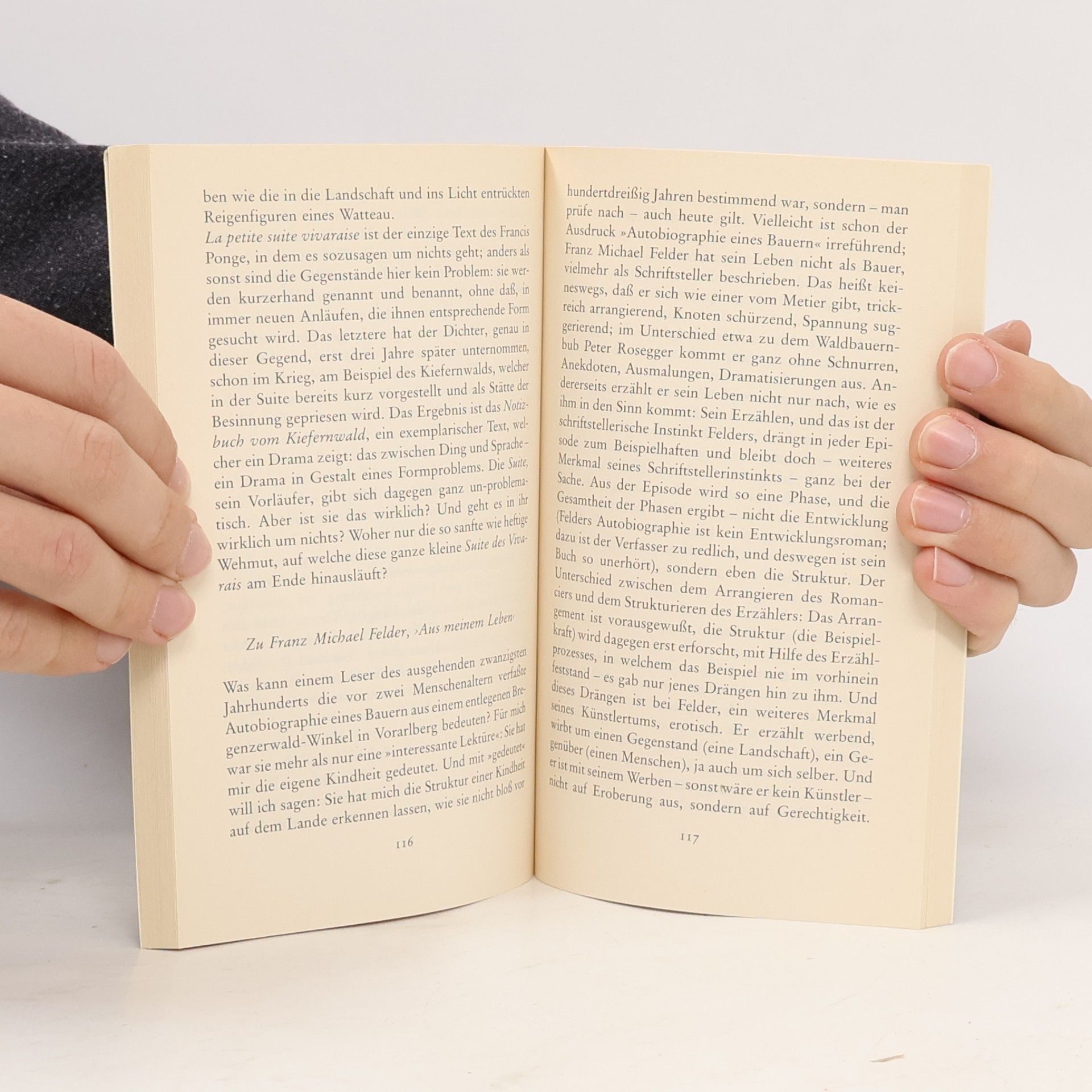 Peter Handke Langsam im Schatten