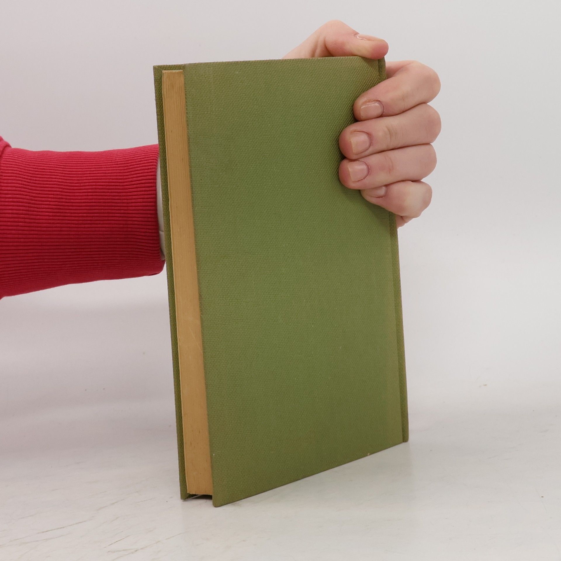 Nikolai Ognjew Das Tagebuch des Schülers Kostja Rjabzew