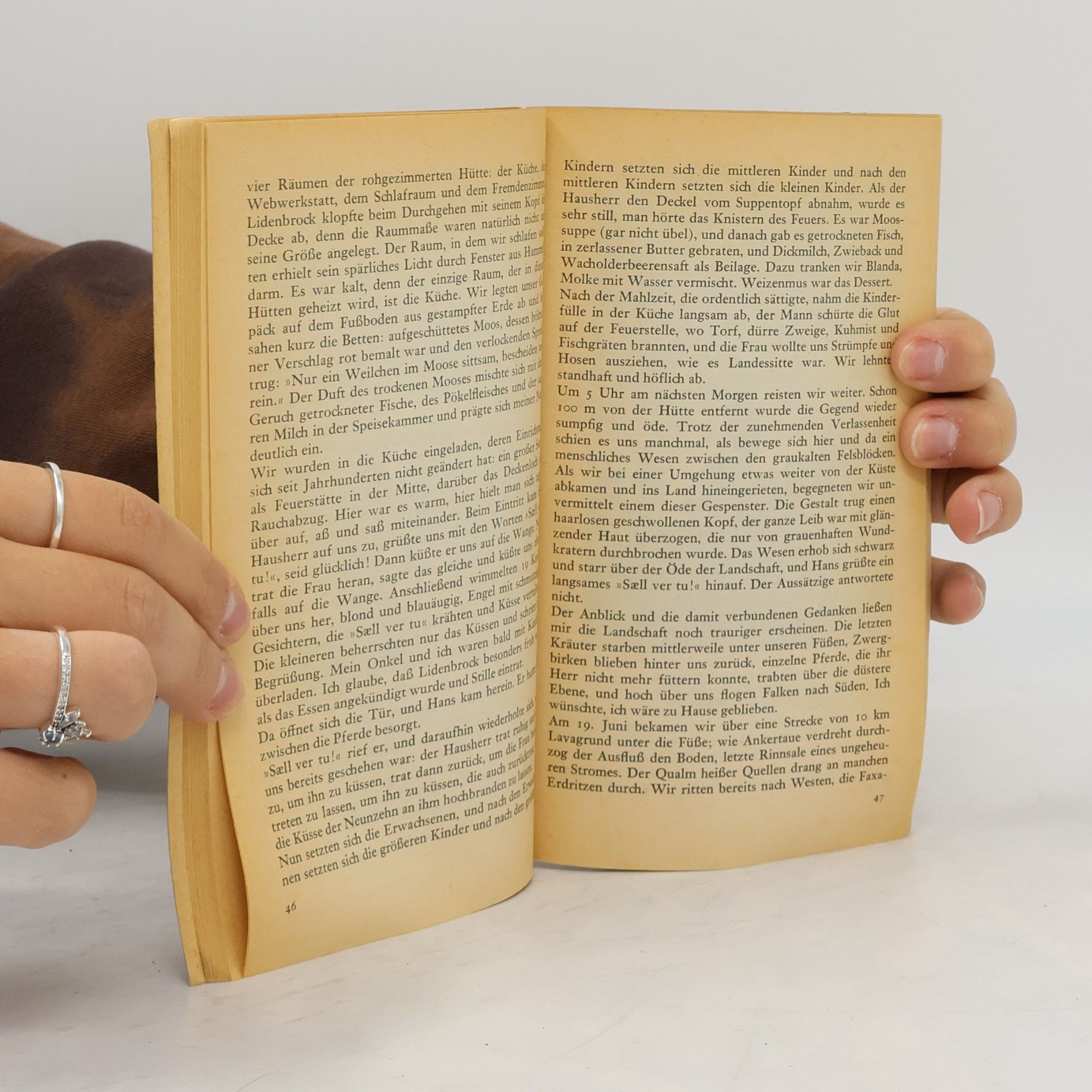 Jules Verne Reise zum Mittelpunkt der Erde