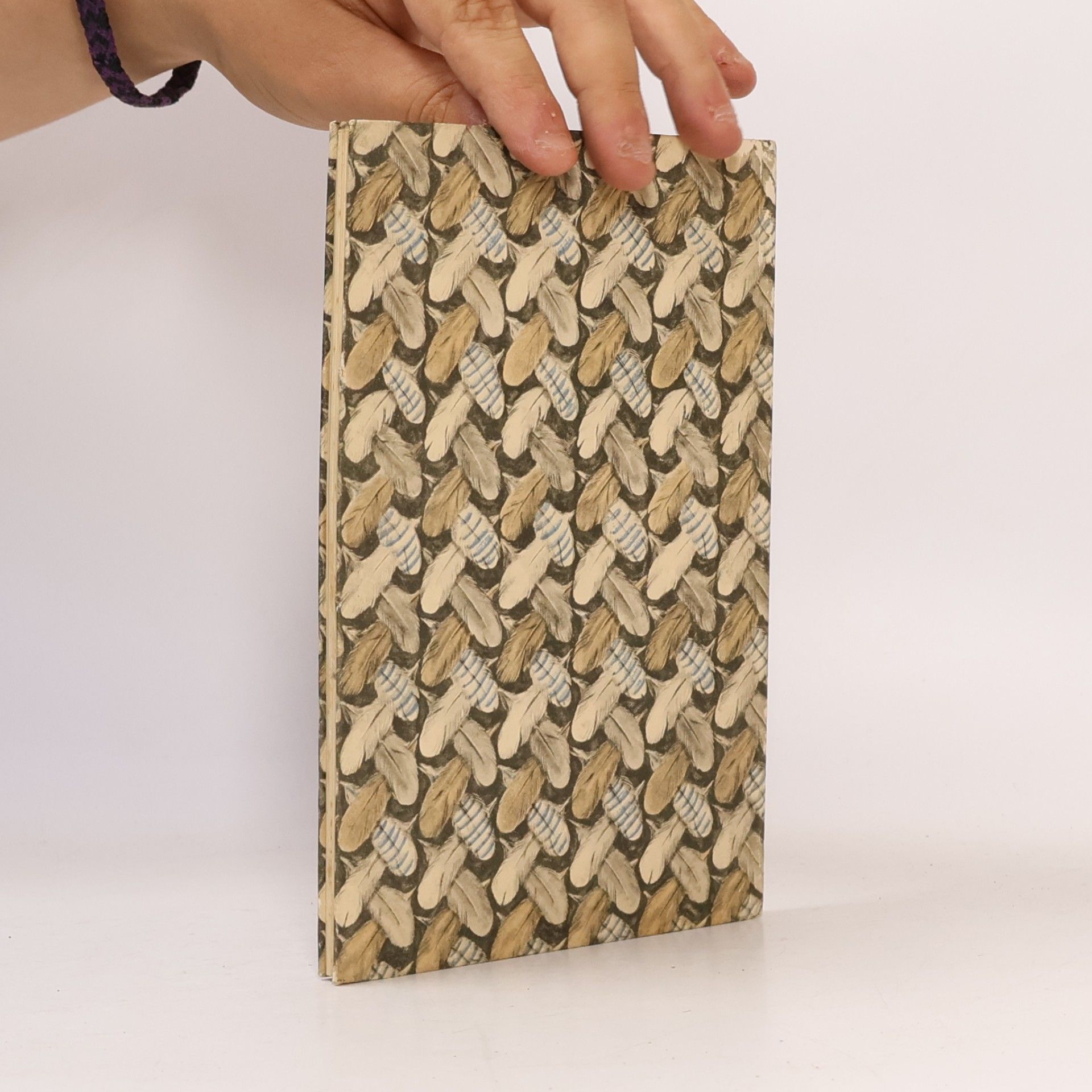 Autorenkollektiv Das kleine Buch der Vögel und Nester