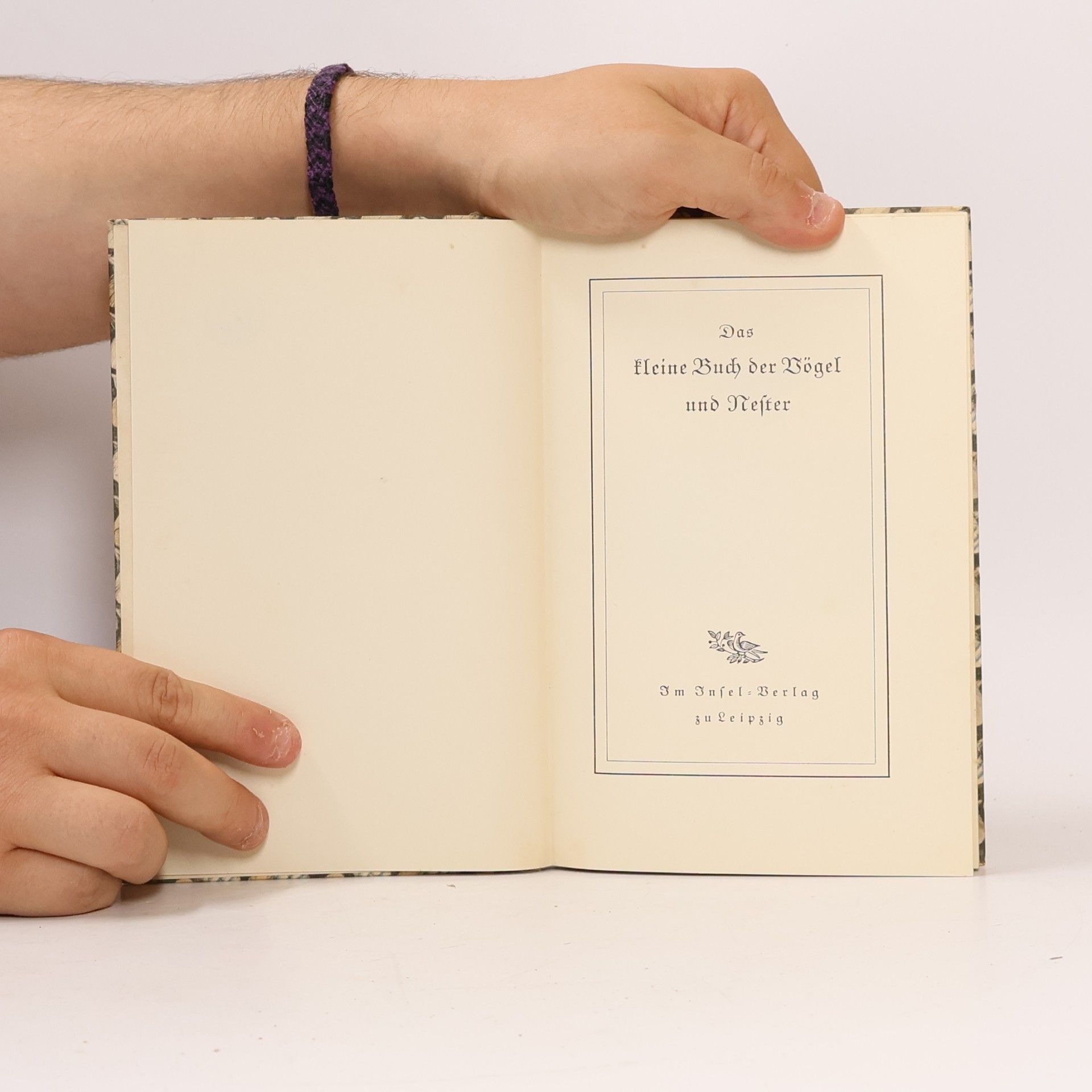 Autorenkollektiv Das kleine Buch der Vögel und Nester