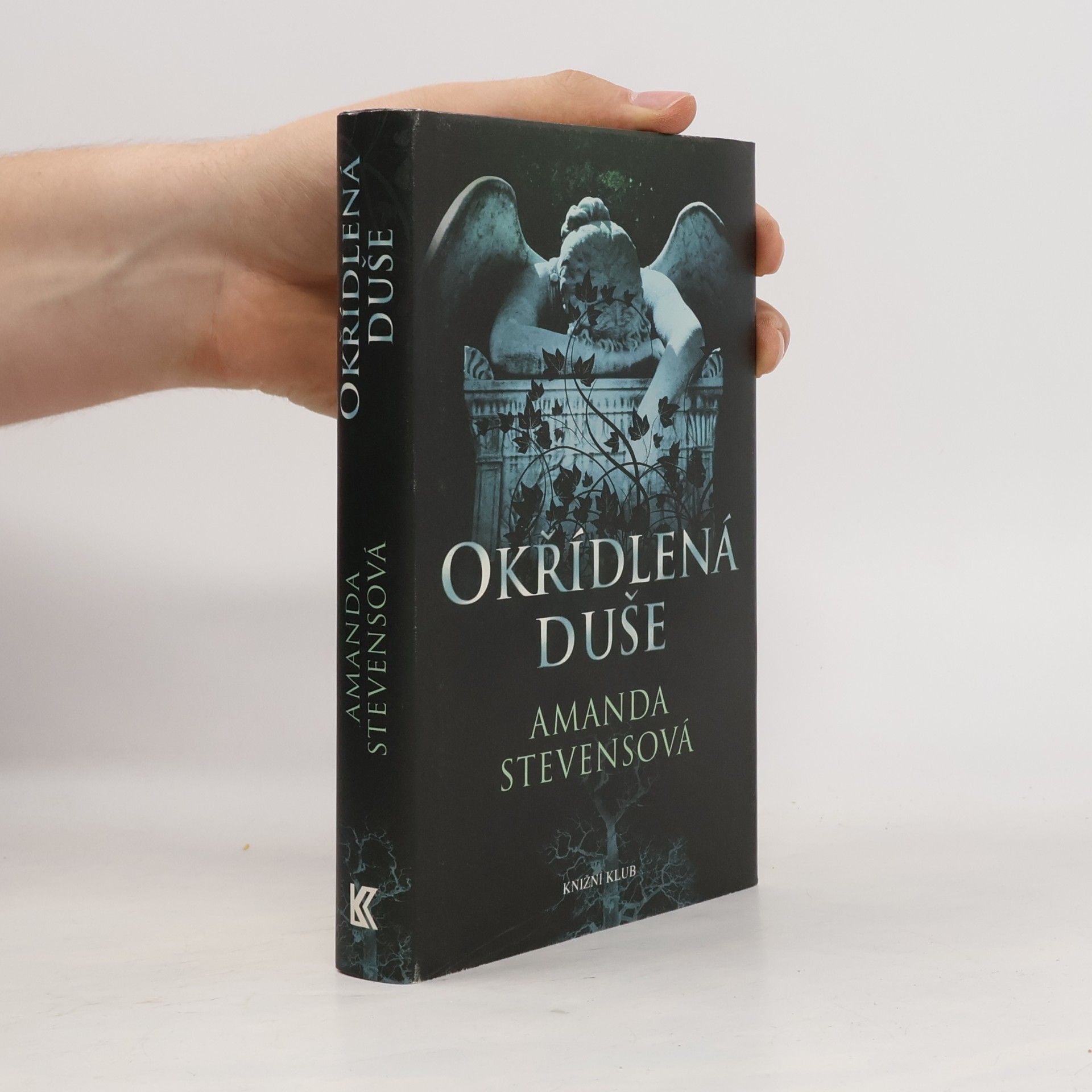 Amanda Stevens Okřídlená duše