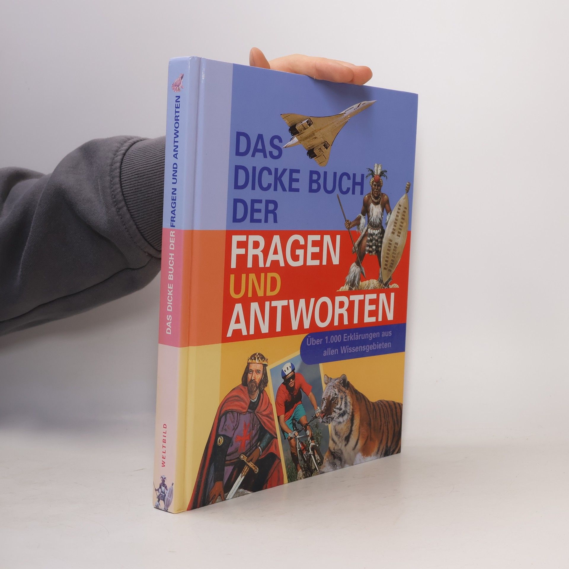 Antje Lorbeer Das dicke Buch der Fragen und Antworten