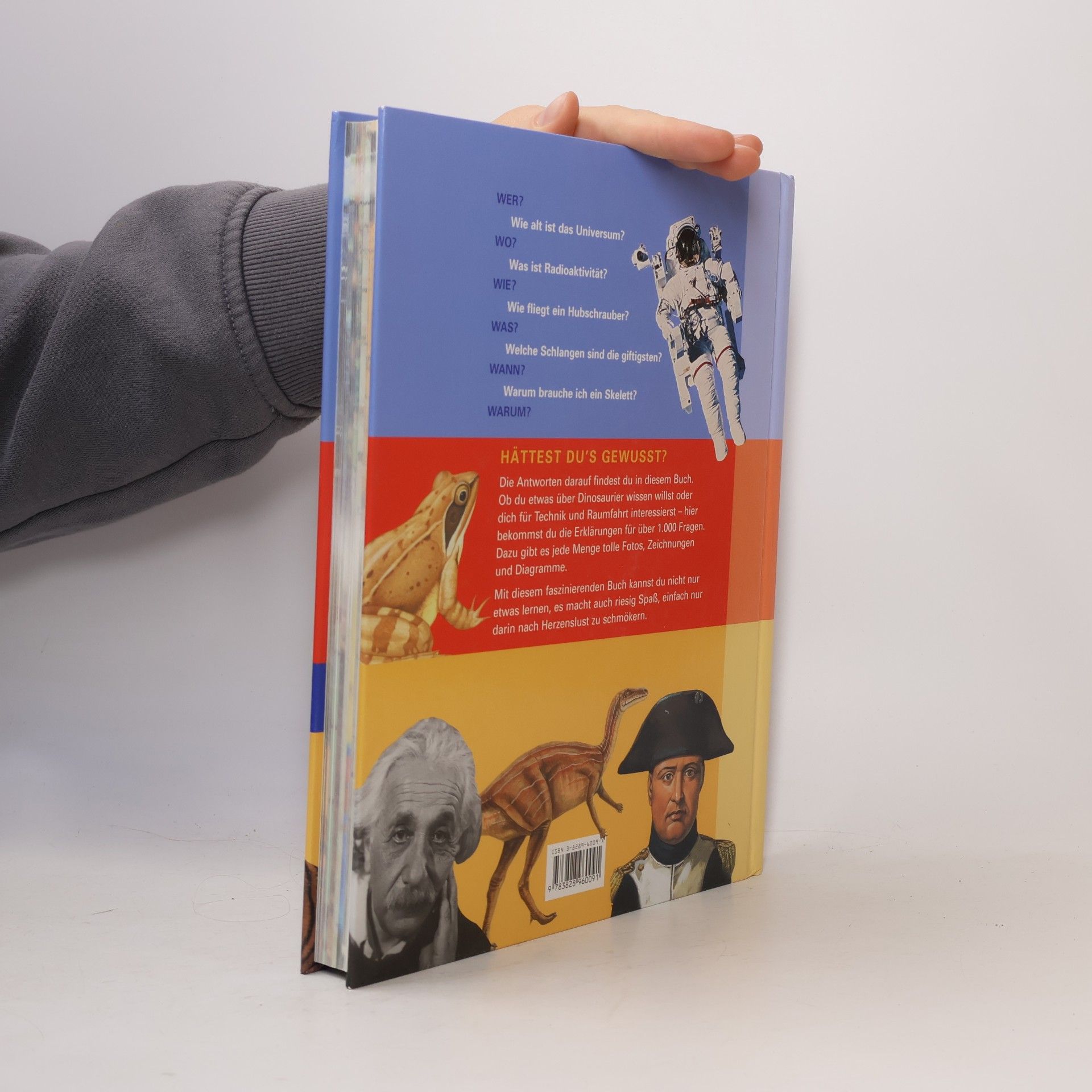 Antje Lorbeer Das dicke Buch der Fragen und Antworten