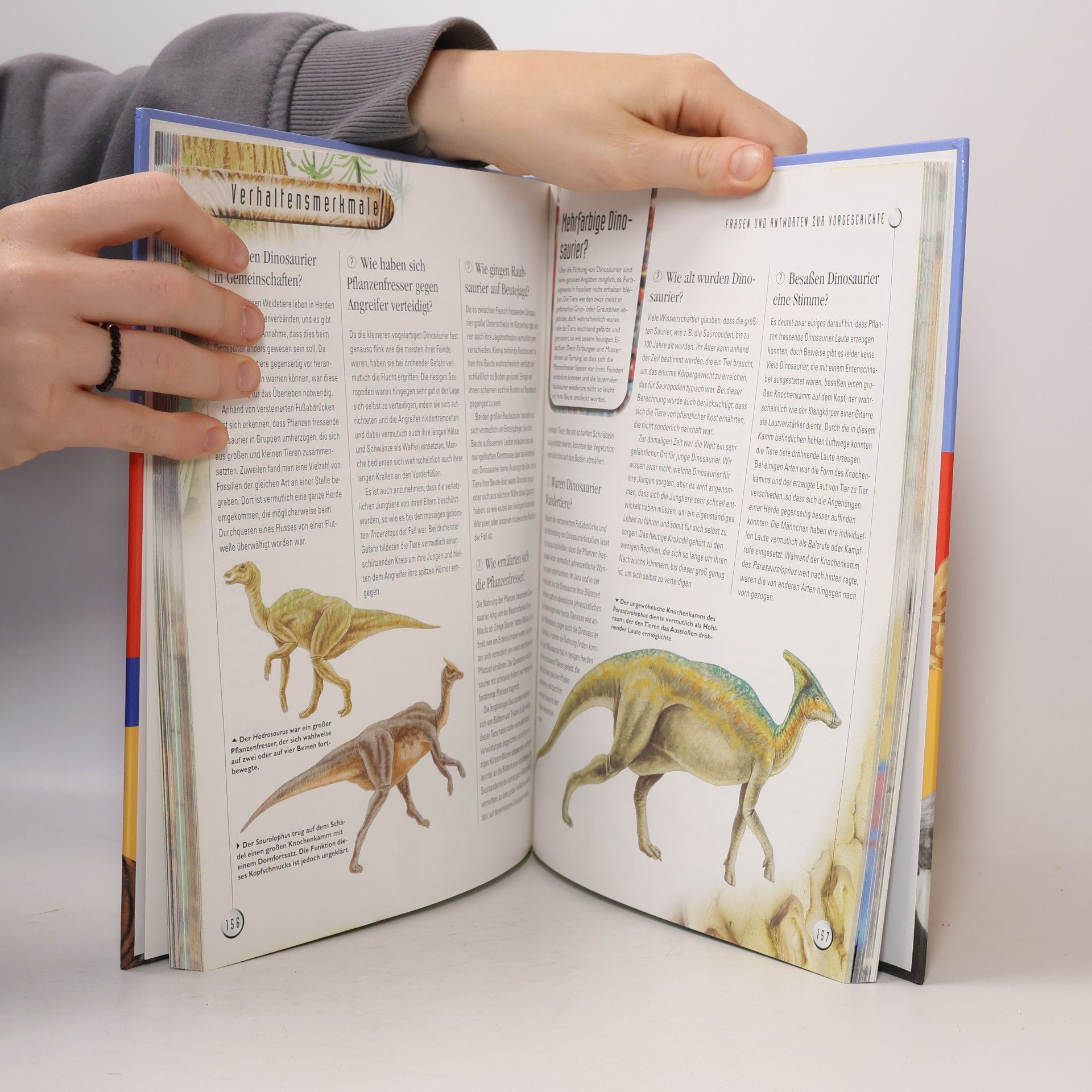 Antje Lorbeer Das dicke Buch der Fragen und Antworten