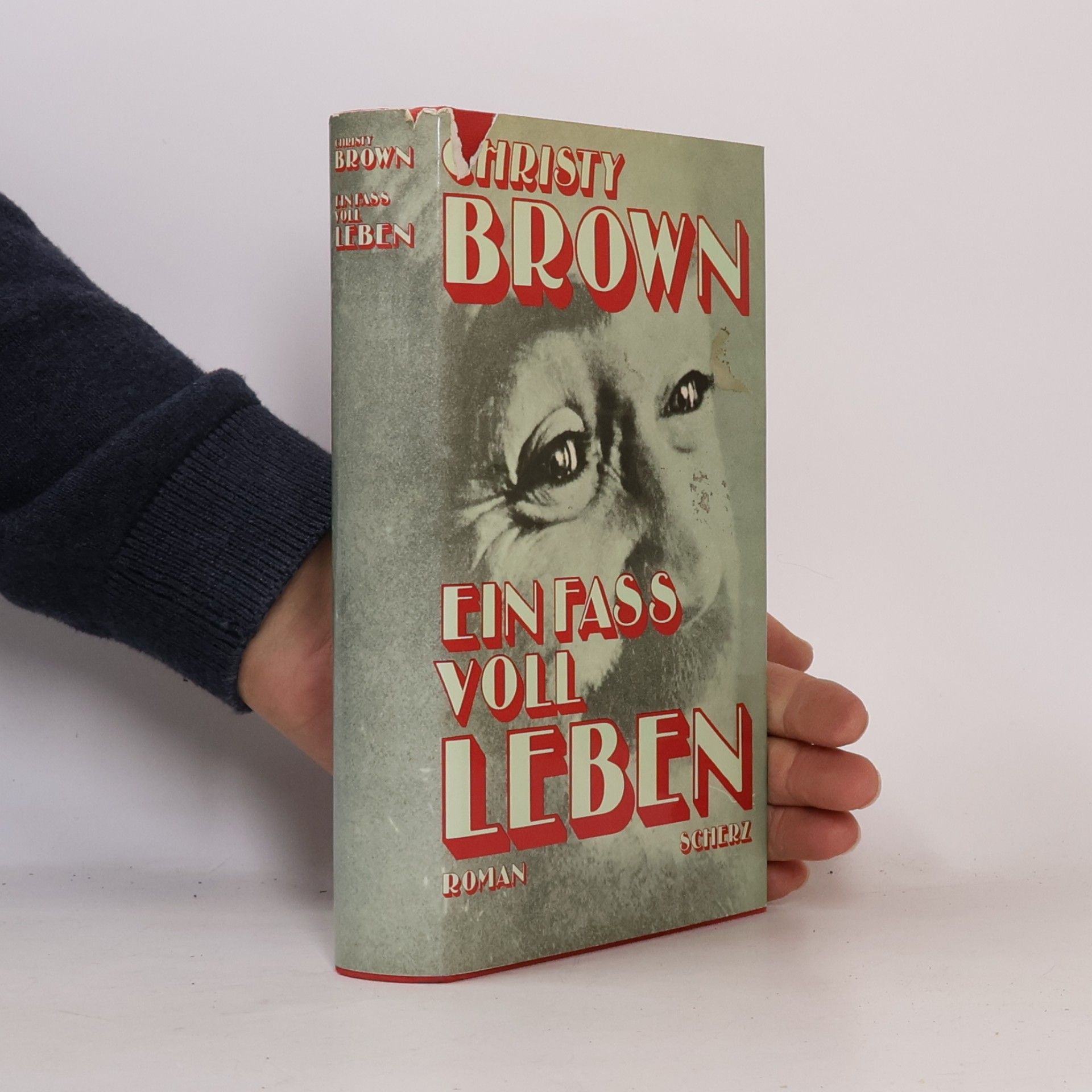 Christy Brown Ein Fass voll Leben