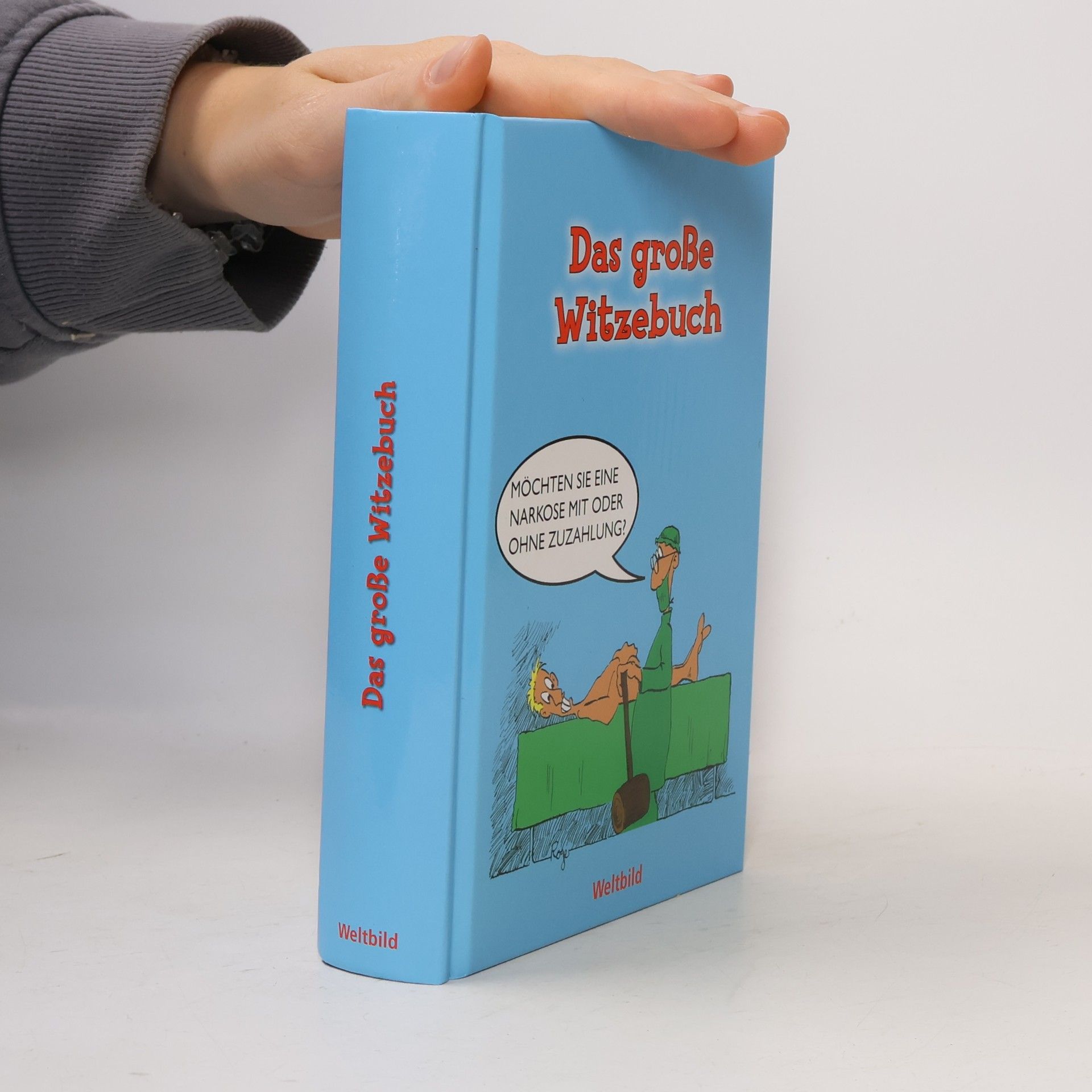 Autorenkollektiv Das große Witzebuch