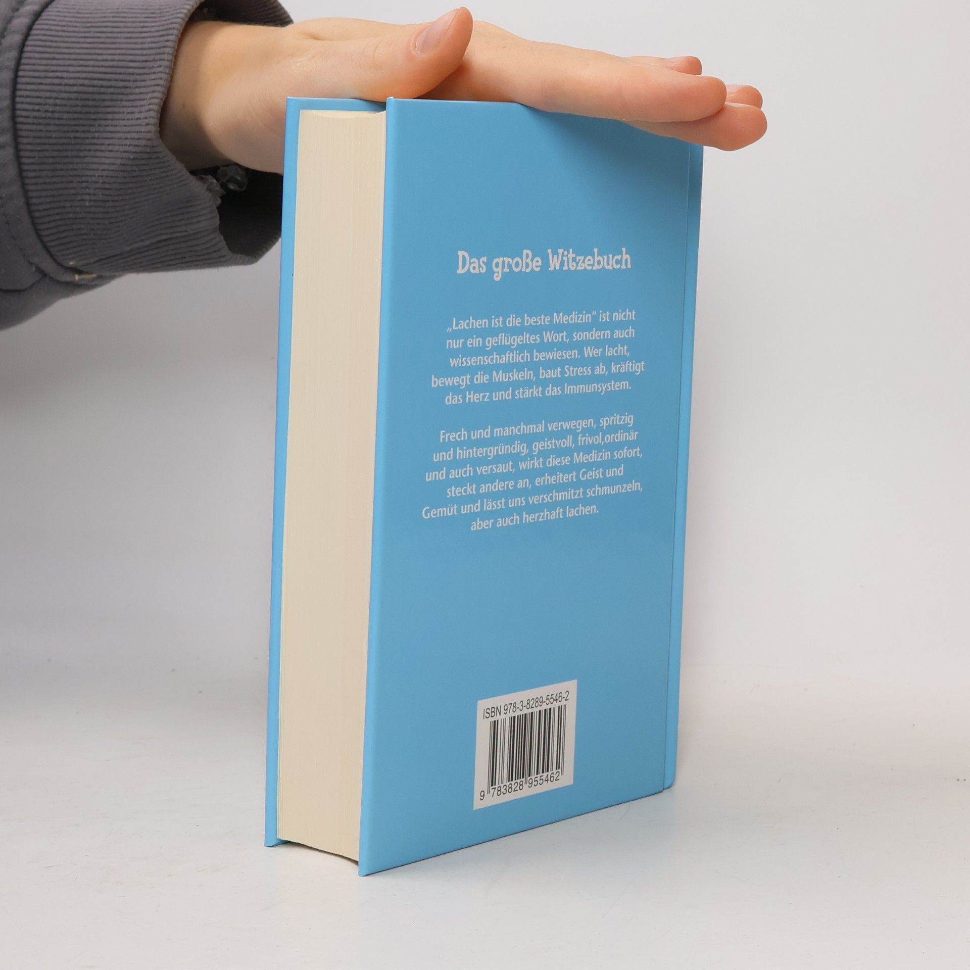kolektiv Das große Witzebuch