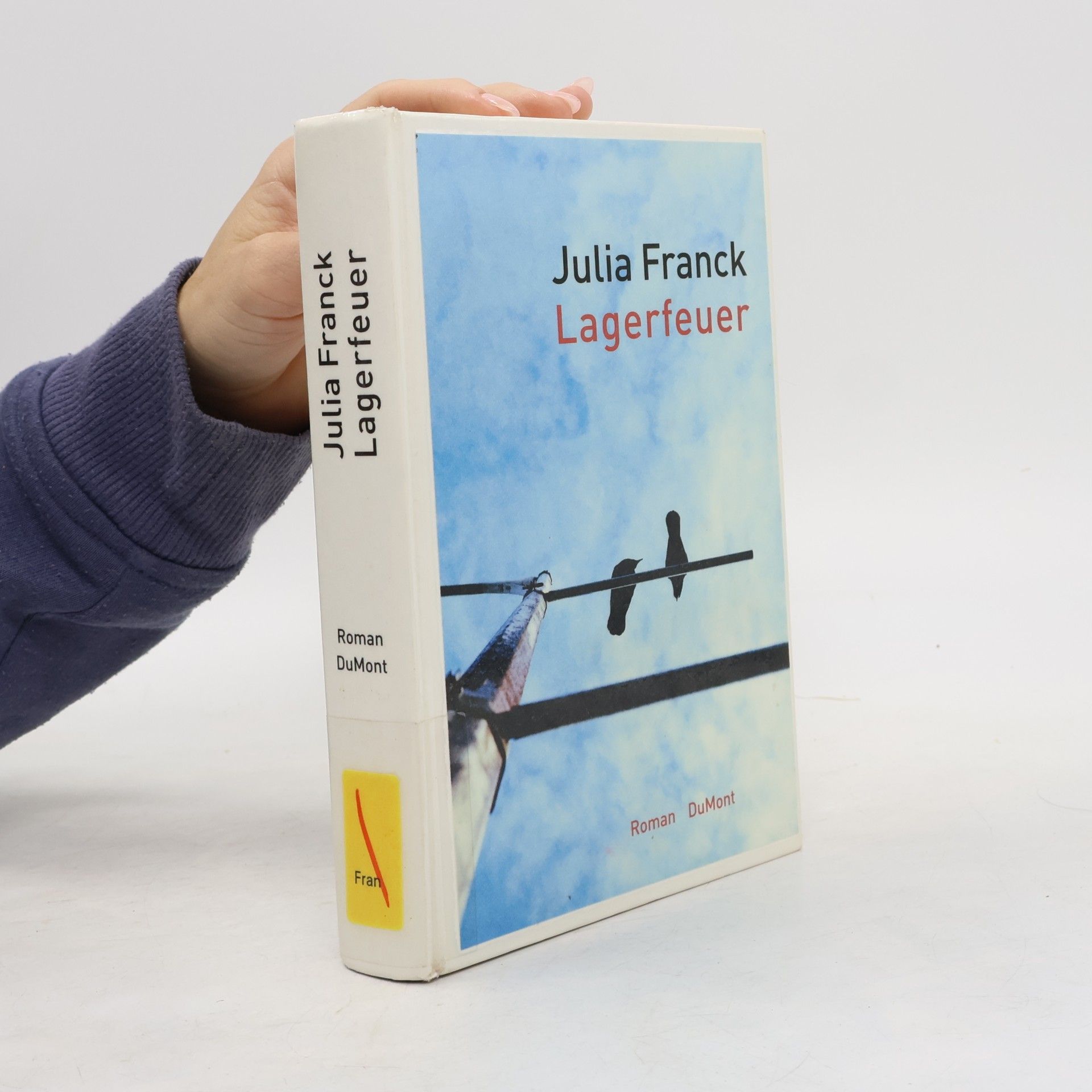 Julia Franck Lagerfeuer