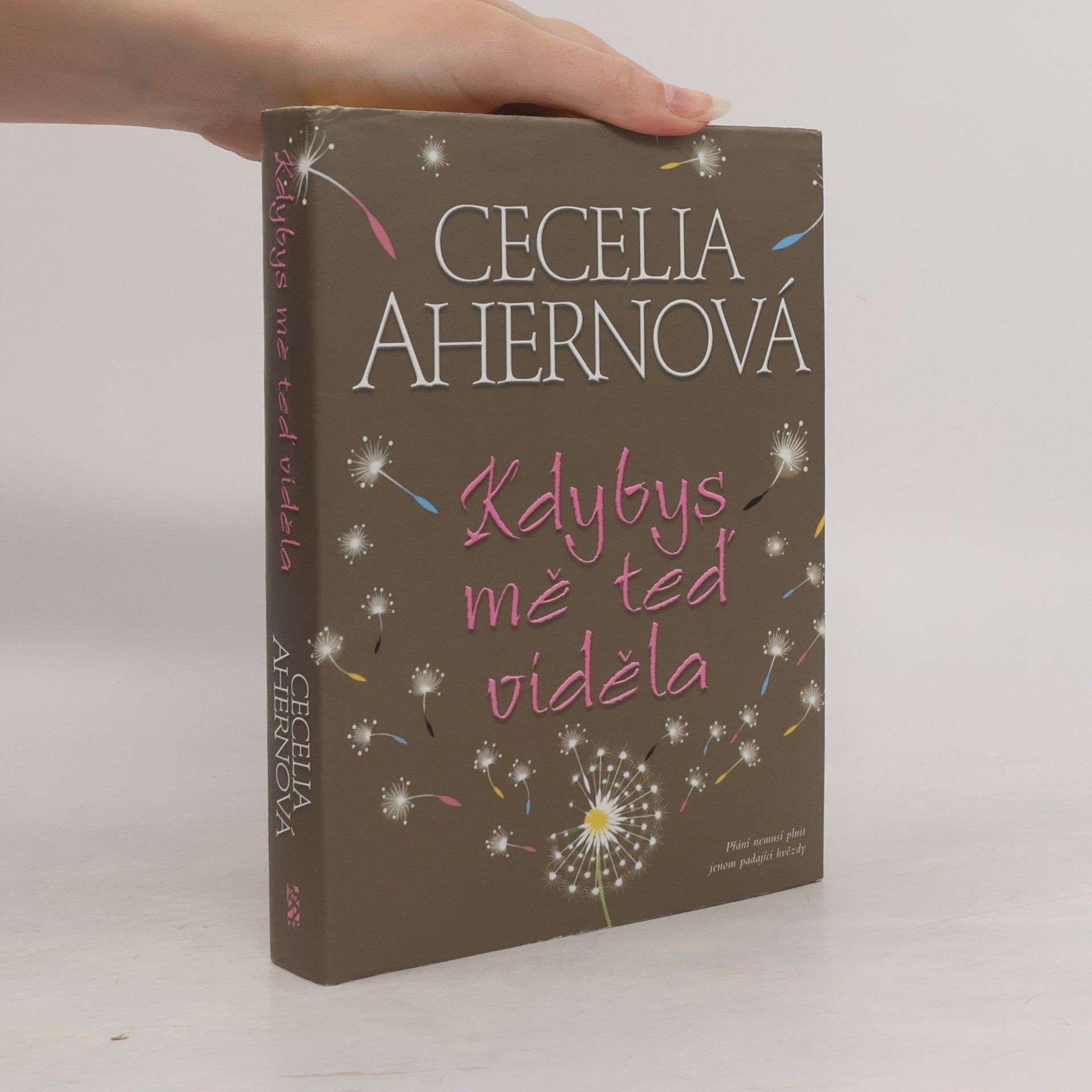 Cecelia Ahern Kdybys mě teď viděla