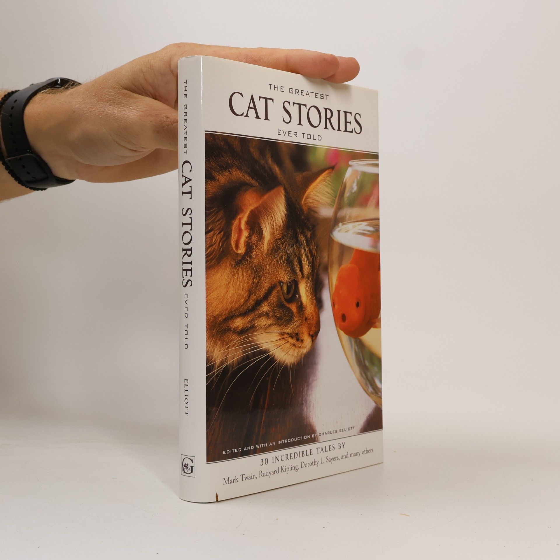 kolektiv Cat stories