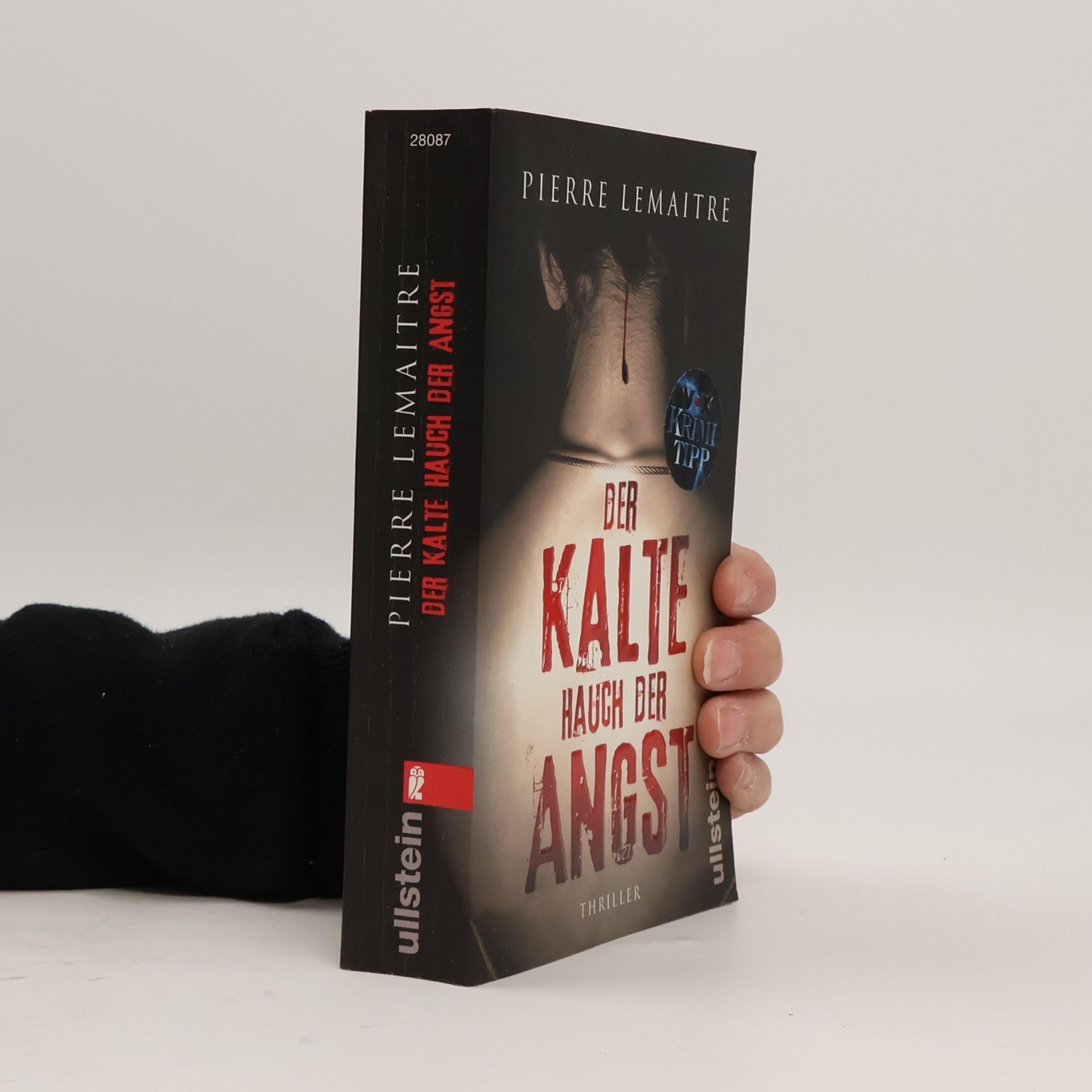 Pierre Lemaitre Der Kalte Hauch der Angst