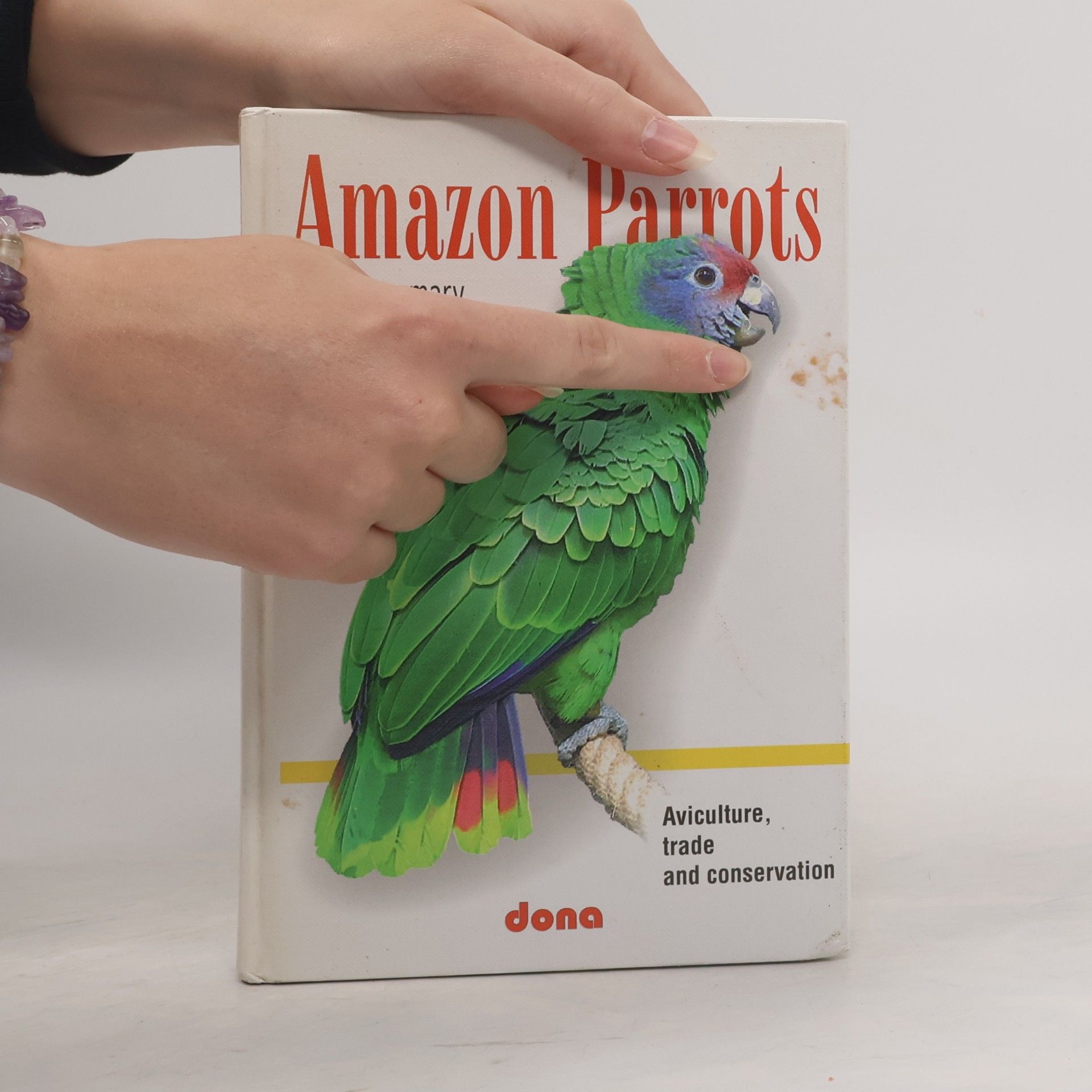 Rosemary Low Amazon Parrots