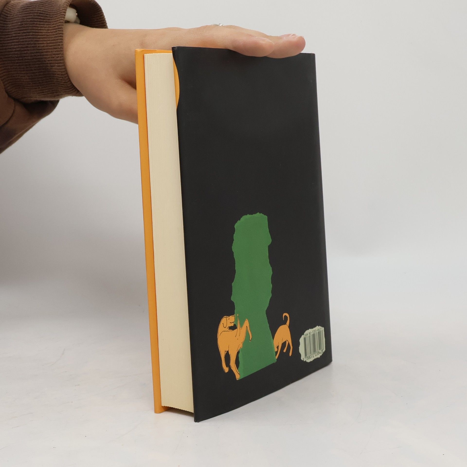 Matt Haig Poslední rodina v Anglii