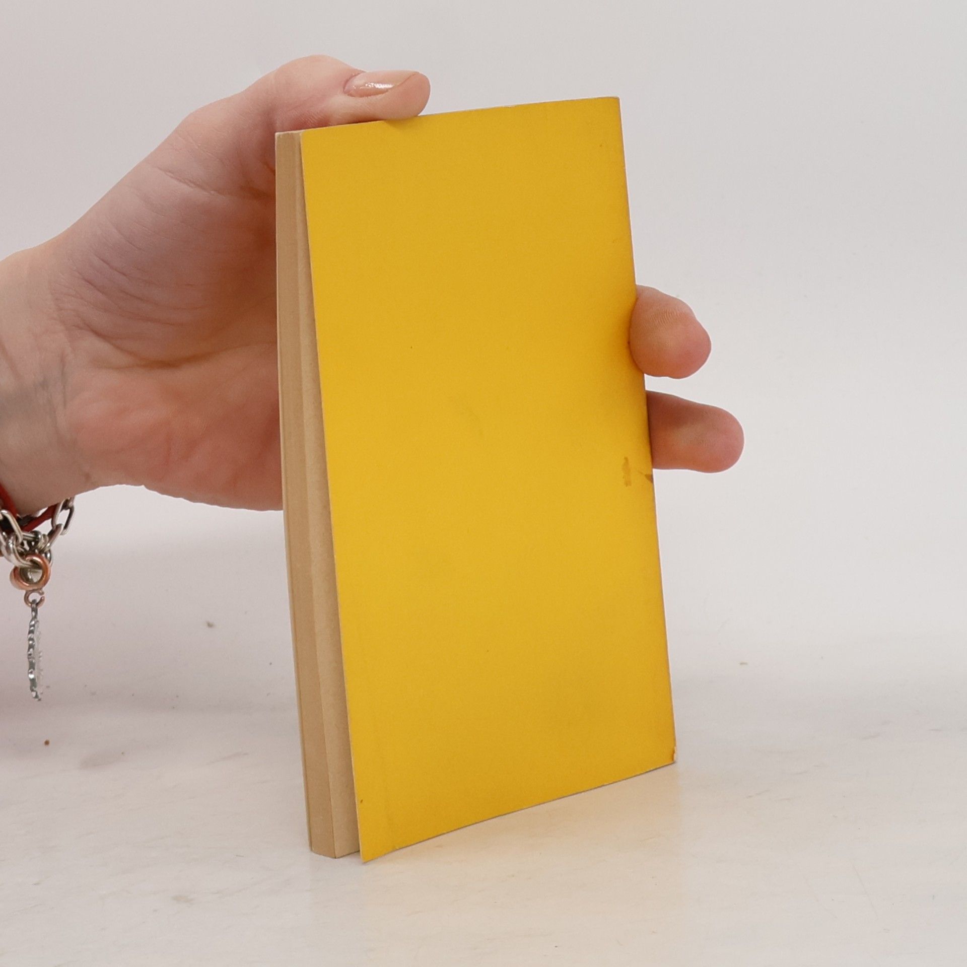 Rudolf Schermann Das kleine gelbe schülerbuch
