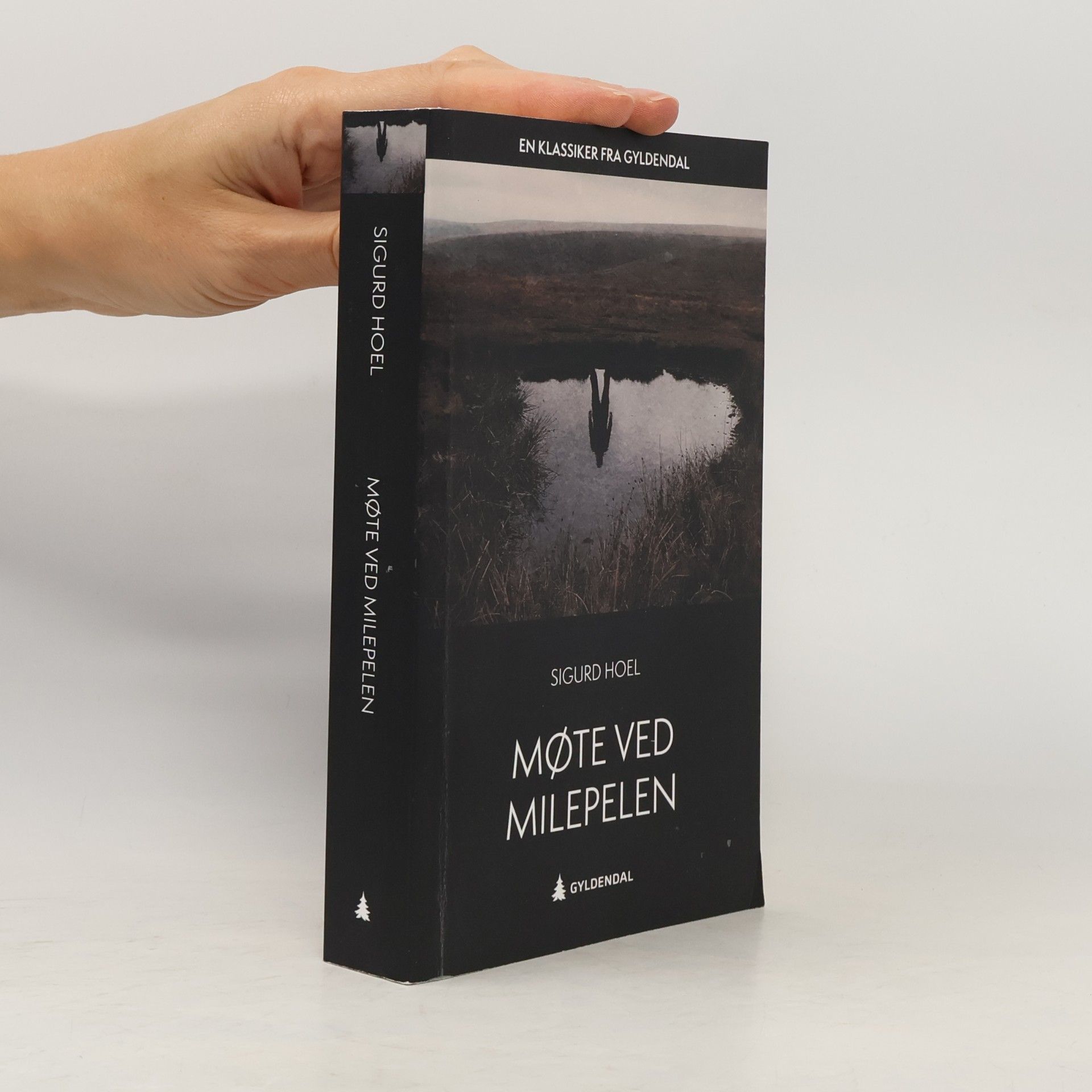 Sigurd Hoel Møte ved milepelen