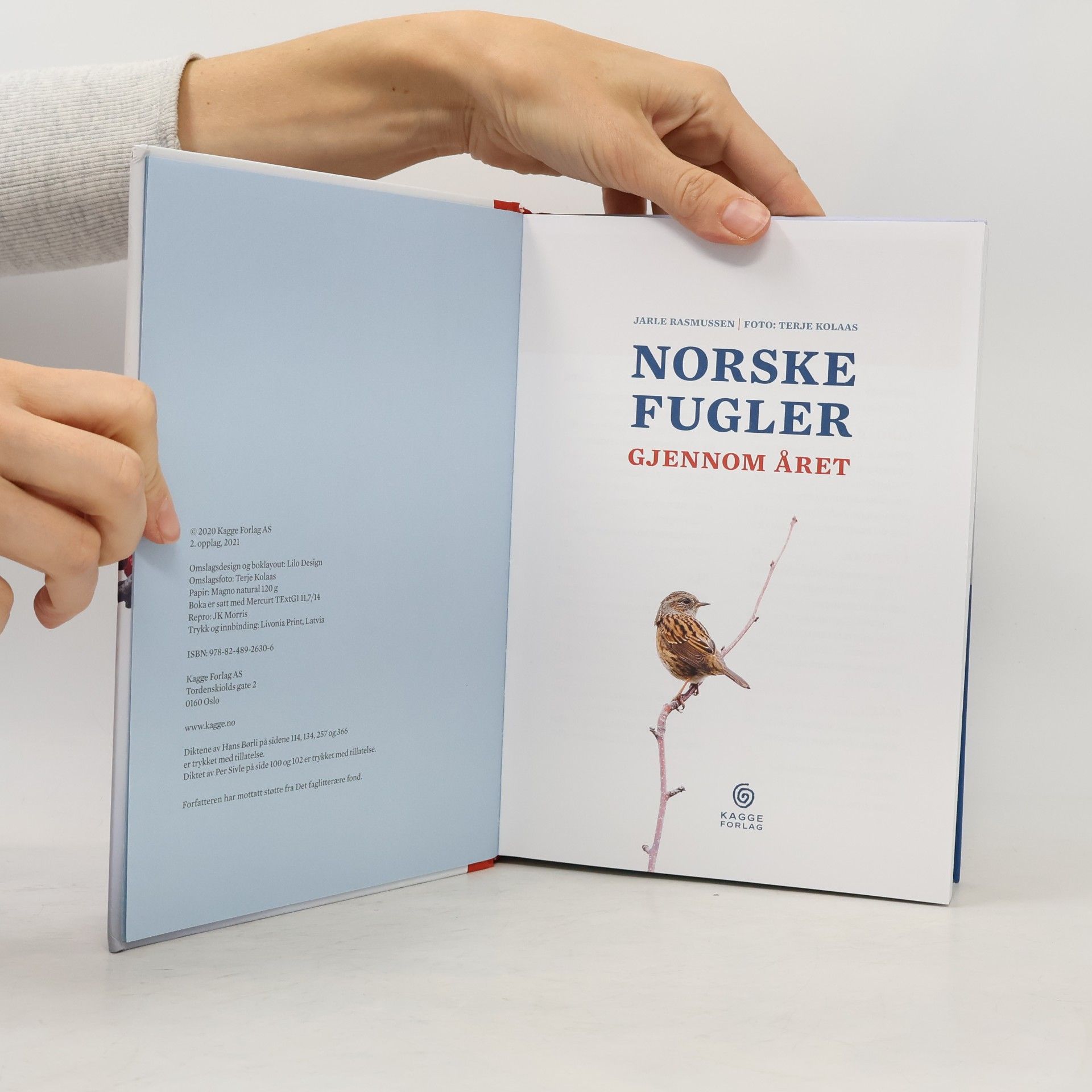 Jarle Rasmussen Norske fugler gjennom året