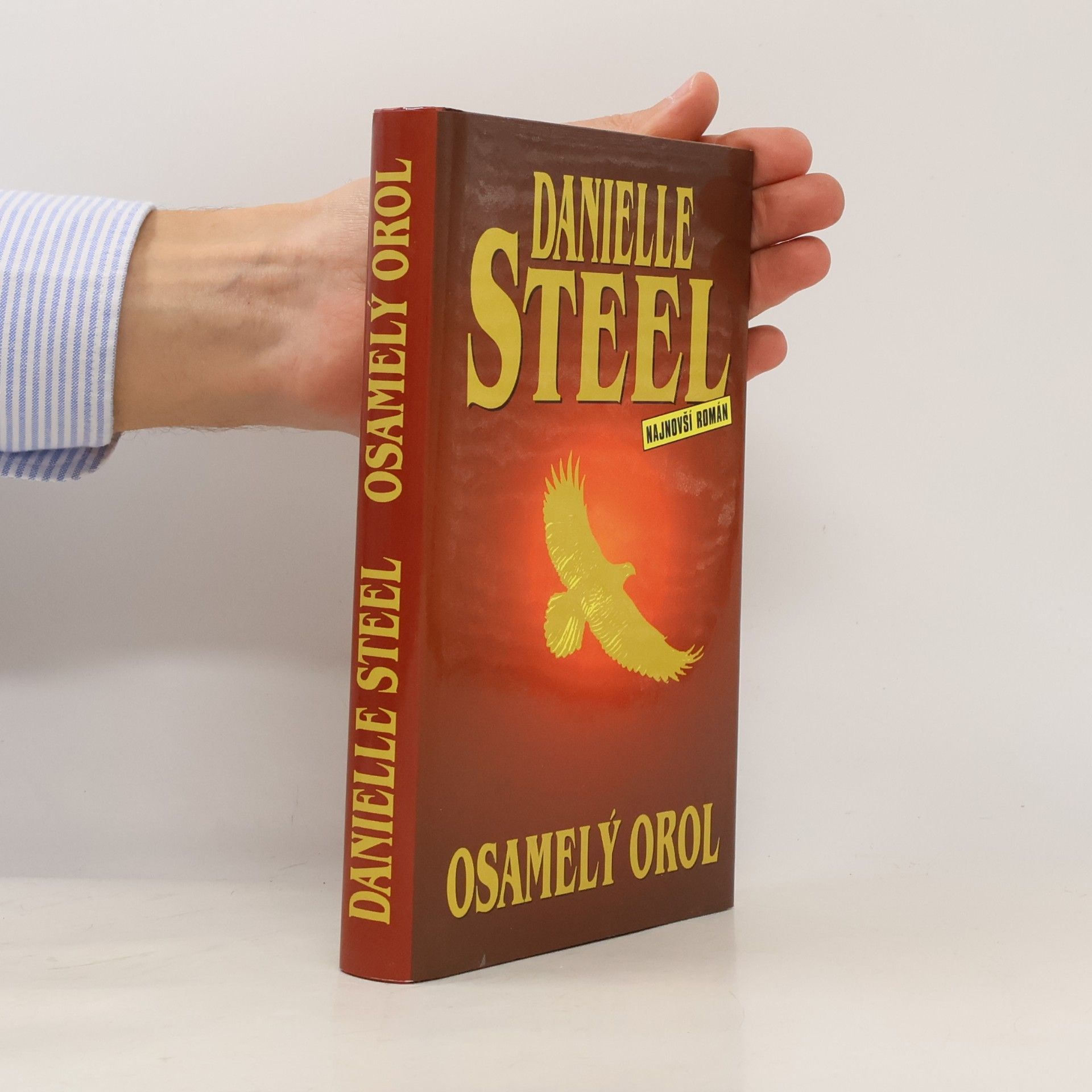 Danielle Steel Osamelý orol