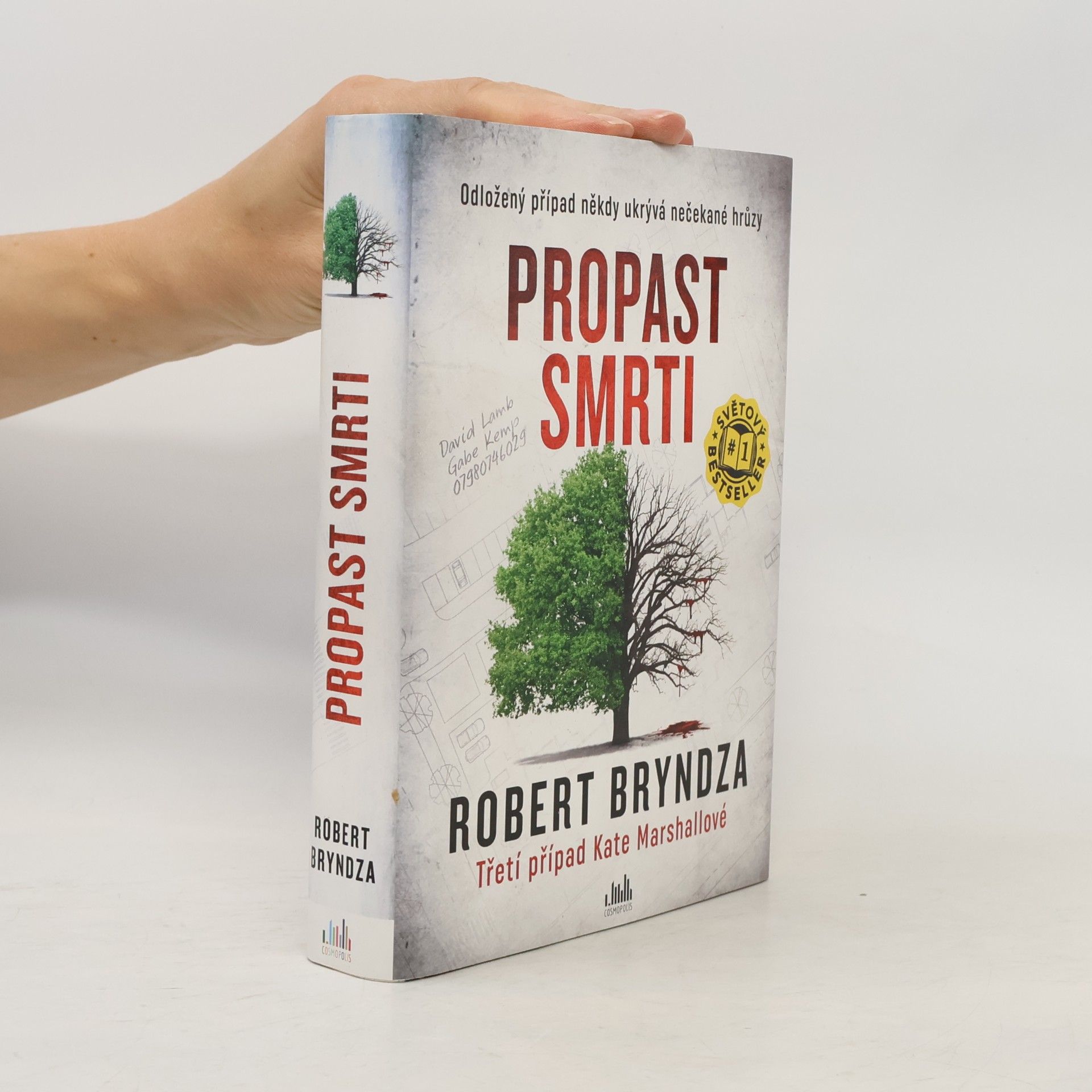 Robert Bryndza Propast smrti