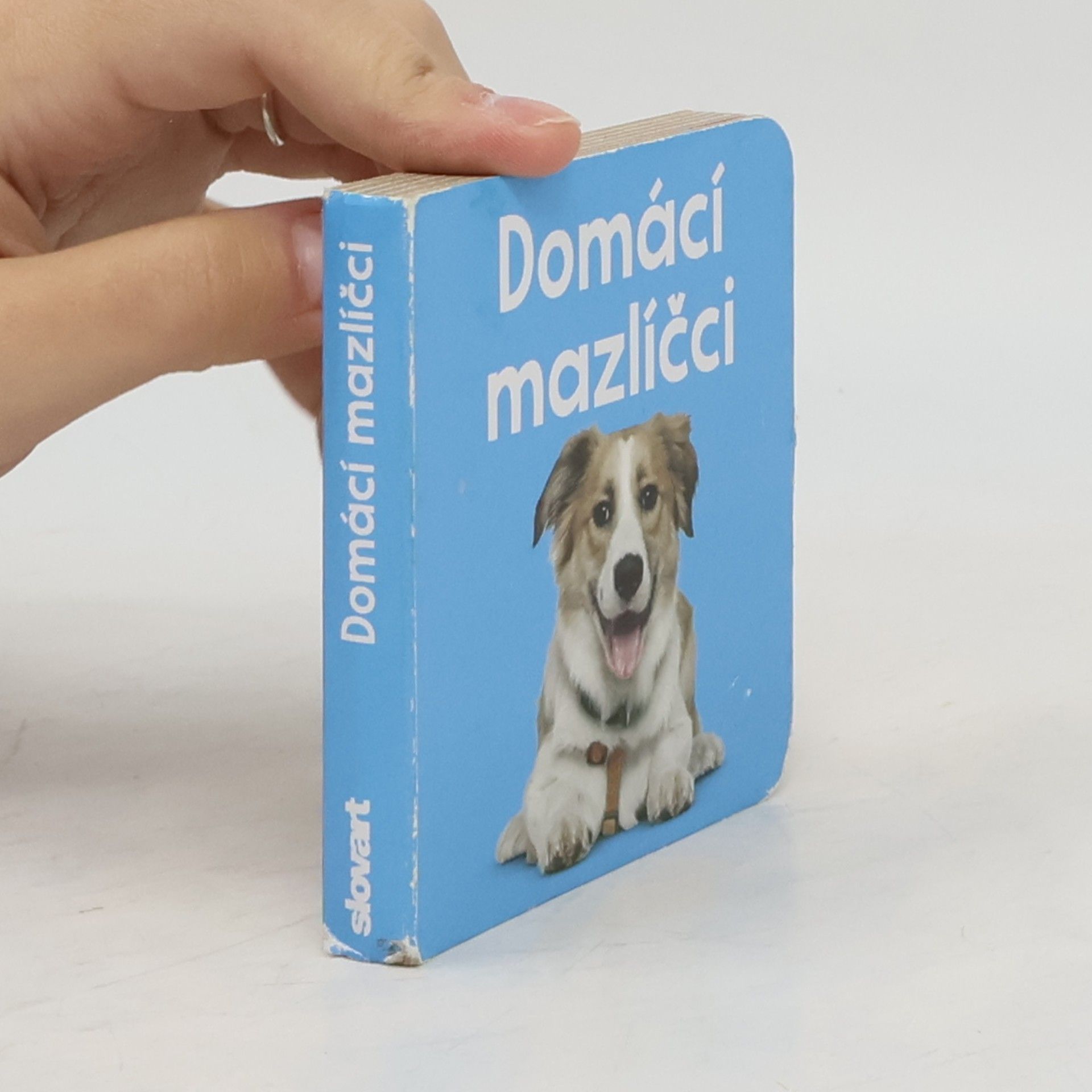 kolektiv Domácí mazlíčci