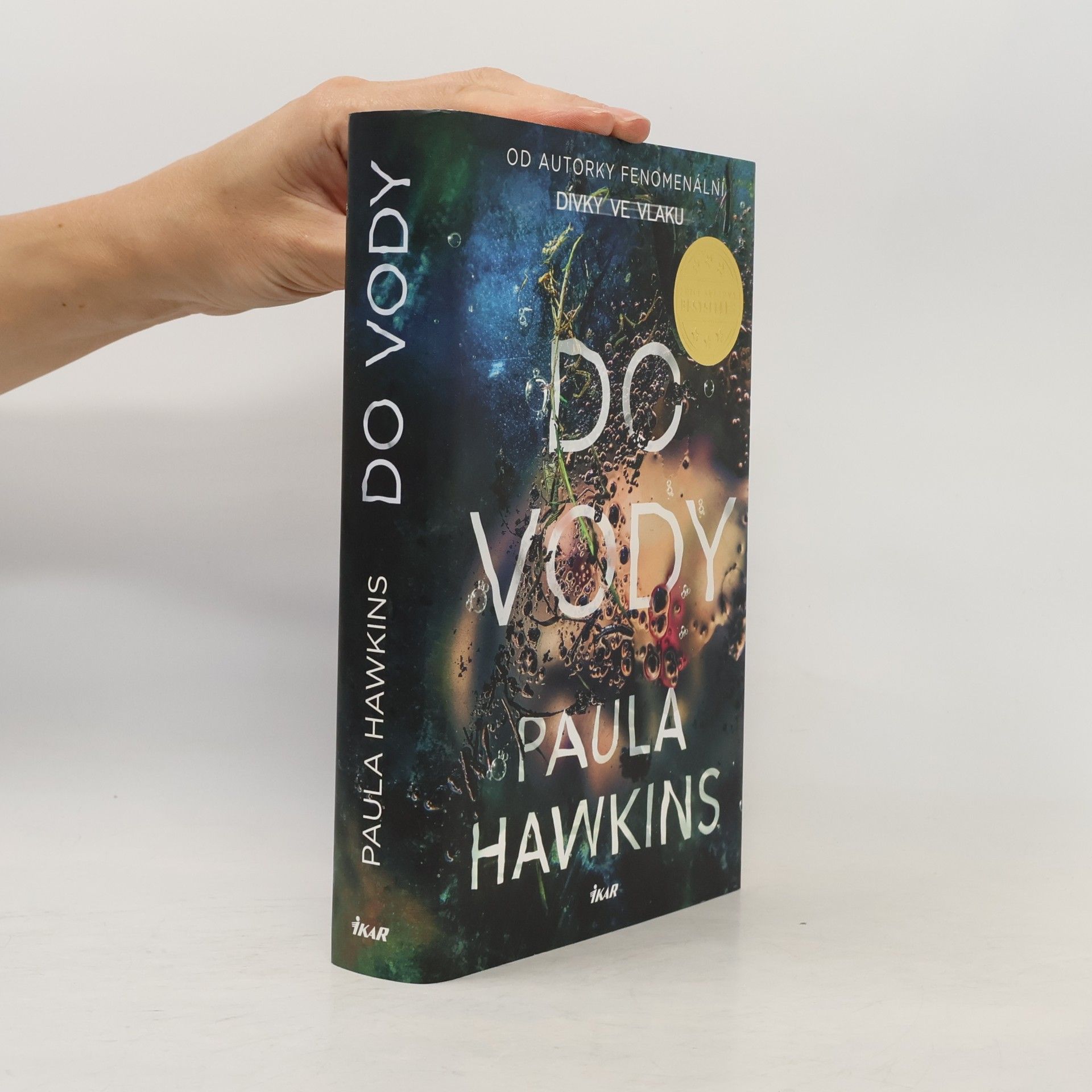 Paula Hawkins Do vody