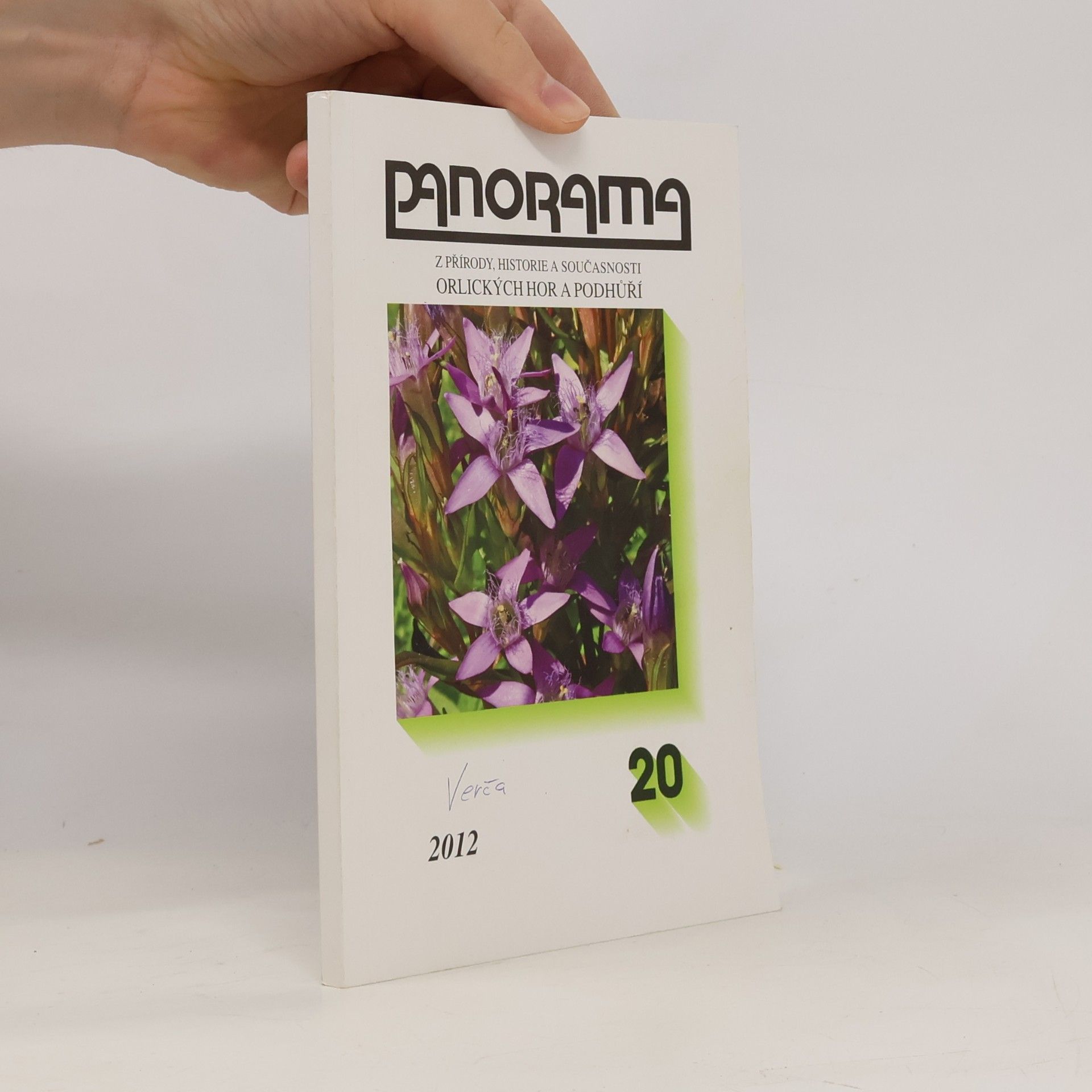 Panorama 20