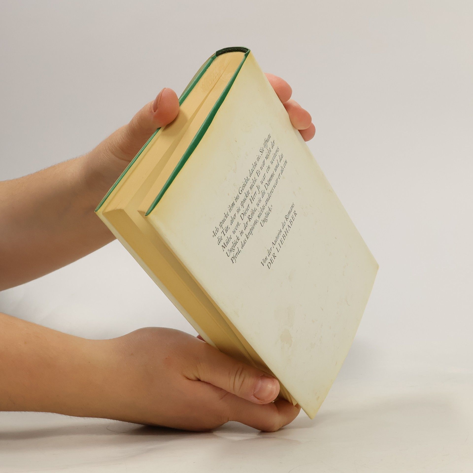 Marguerite Duras Heiße Küste