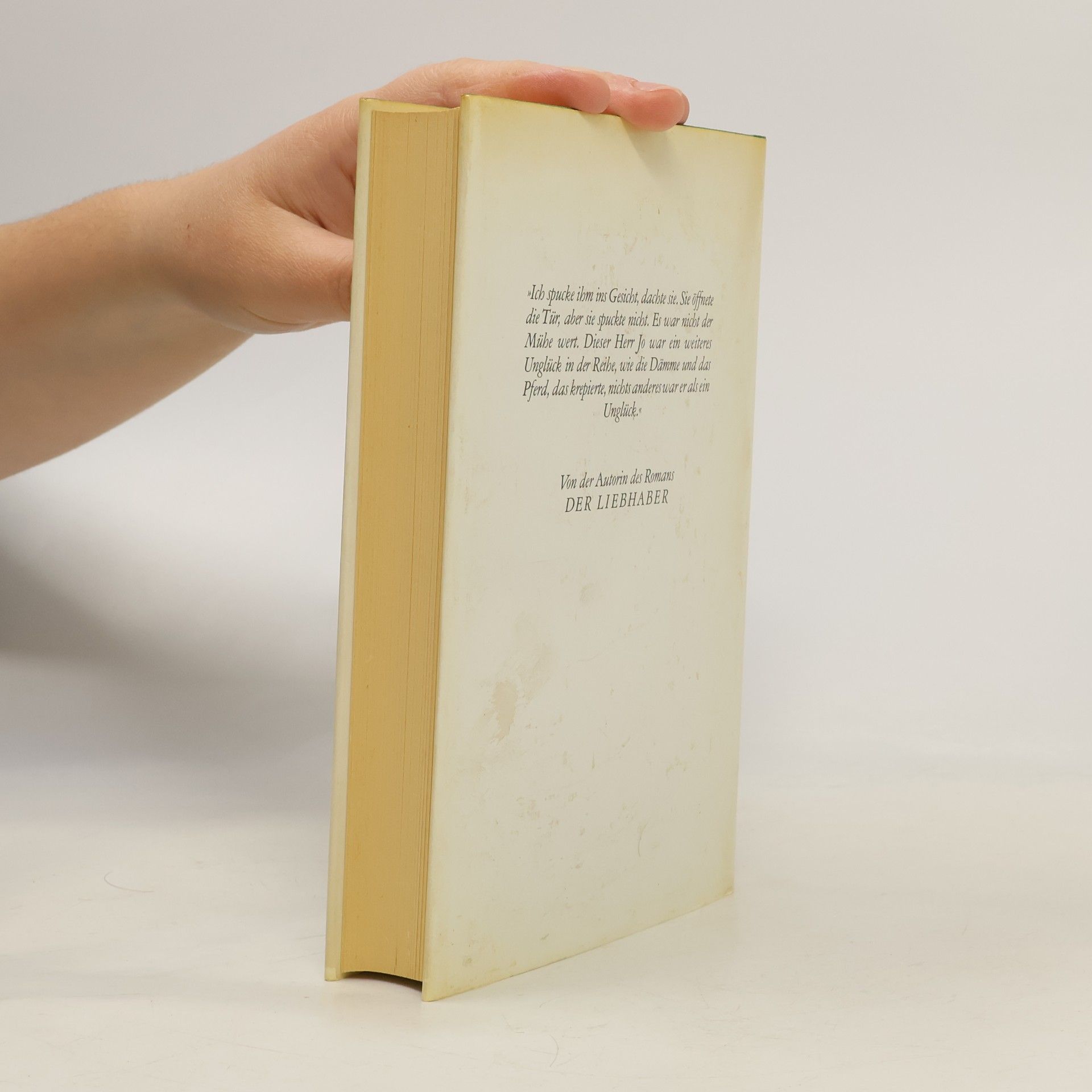 Marguerite Duras Heiße Küste