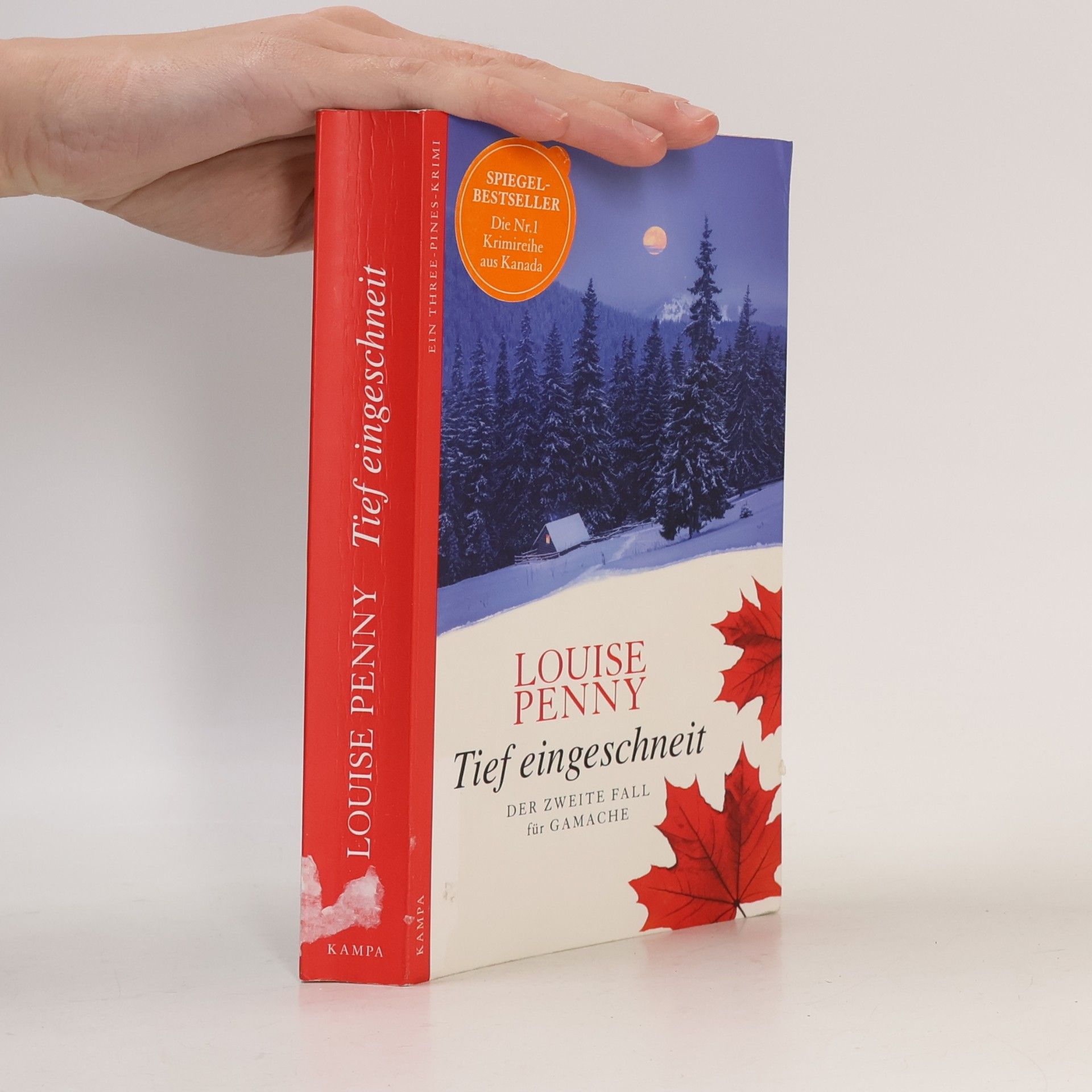 Louise Penny Tief eingeschneit