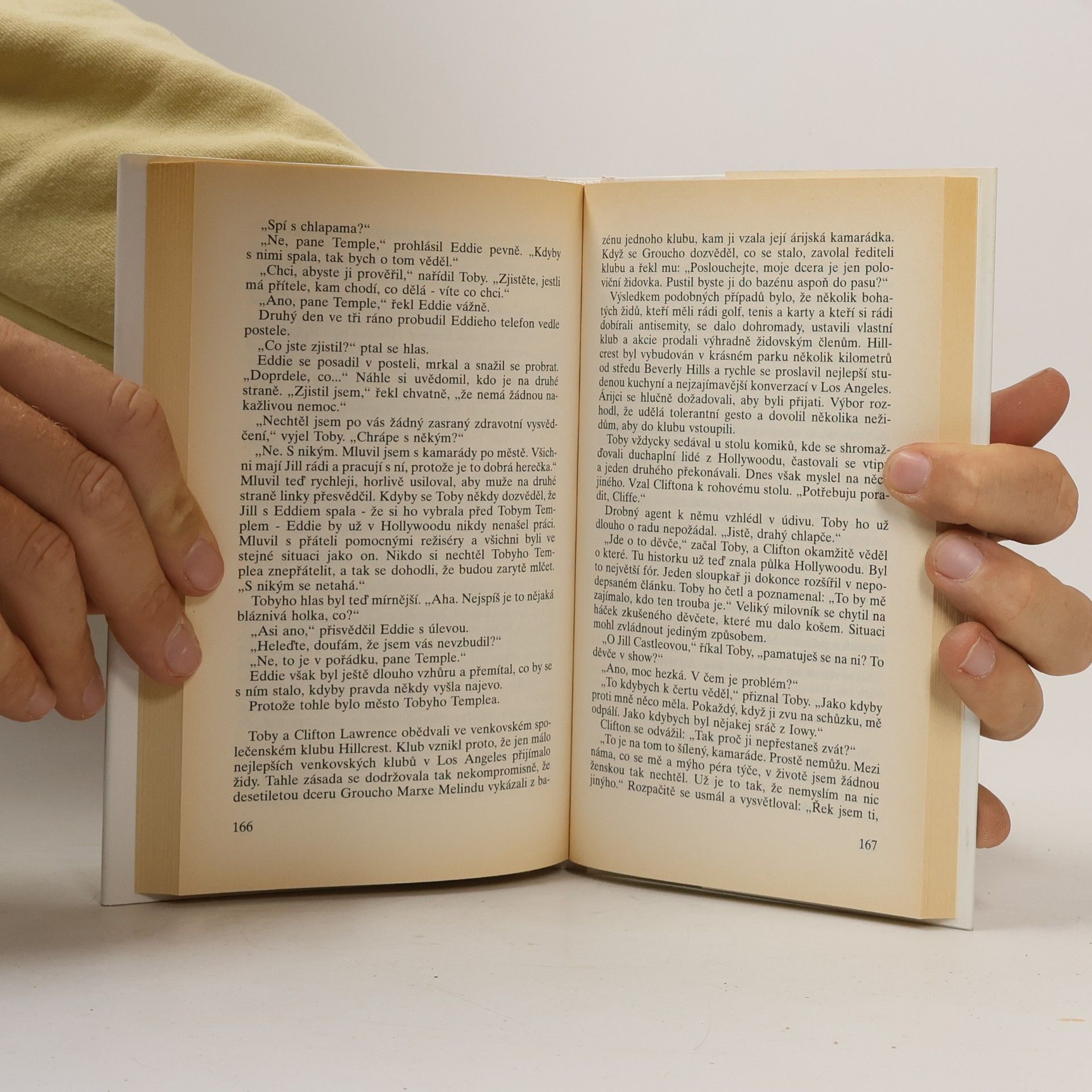 Sidney Sheldon Cizinec v zrcadle