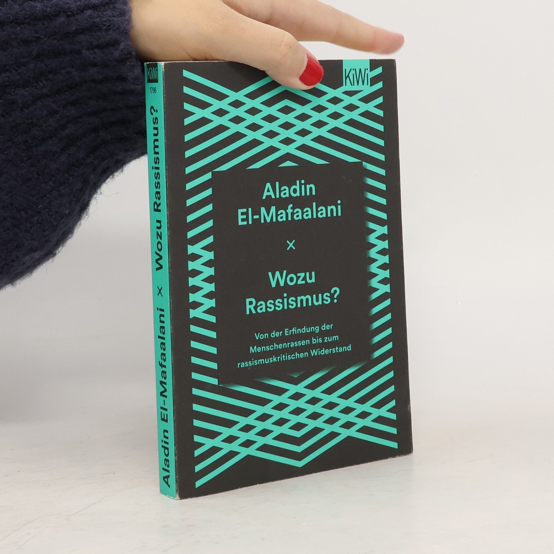 Aladin el- Mafaalani Wozu Rassismus?