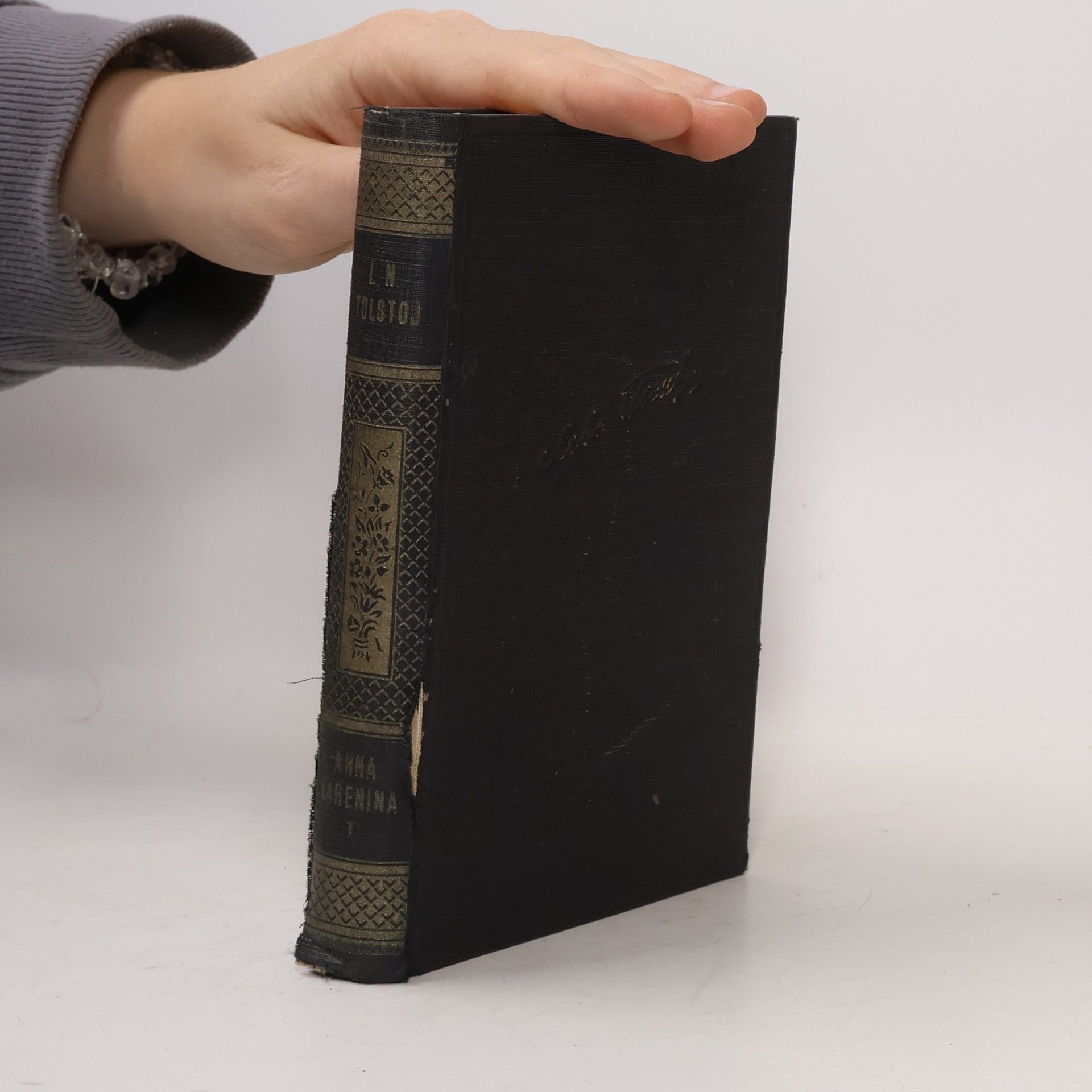 Lew Nikolajewitsch Tolstoi Anna Karenina I