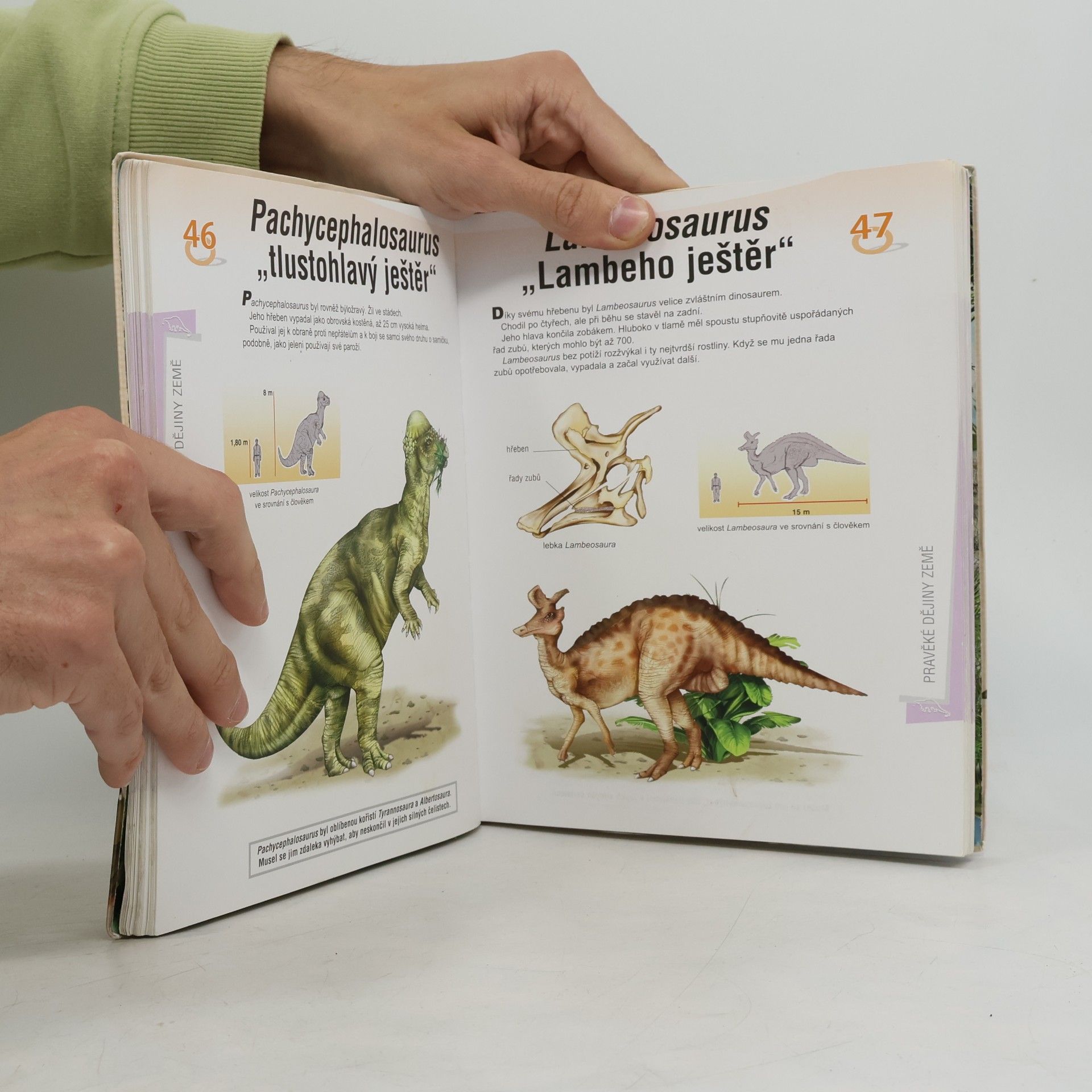 Various authors Pravěké dějiny Země