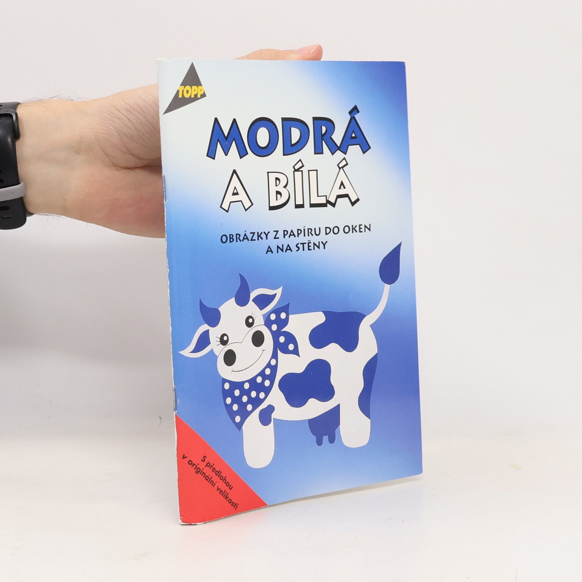 Petra Langrová Modrá a bílá : obrázky z papíru do oken a na stěny
