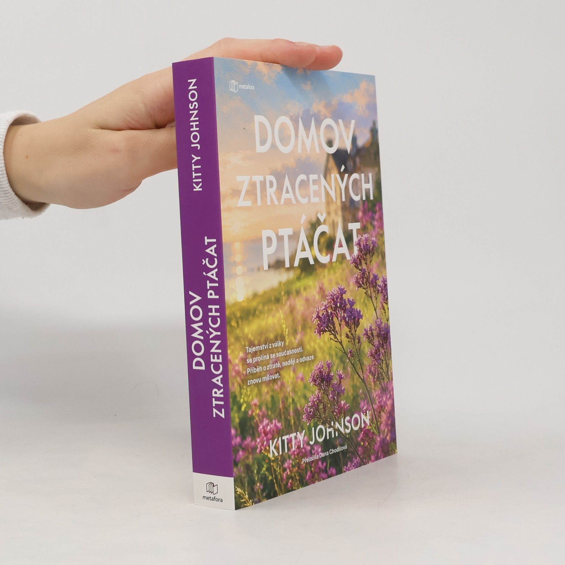 Margaret Johnson Domov ztracených ptáčat